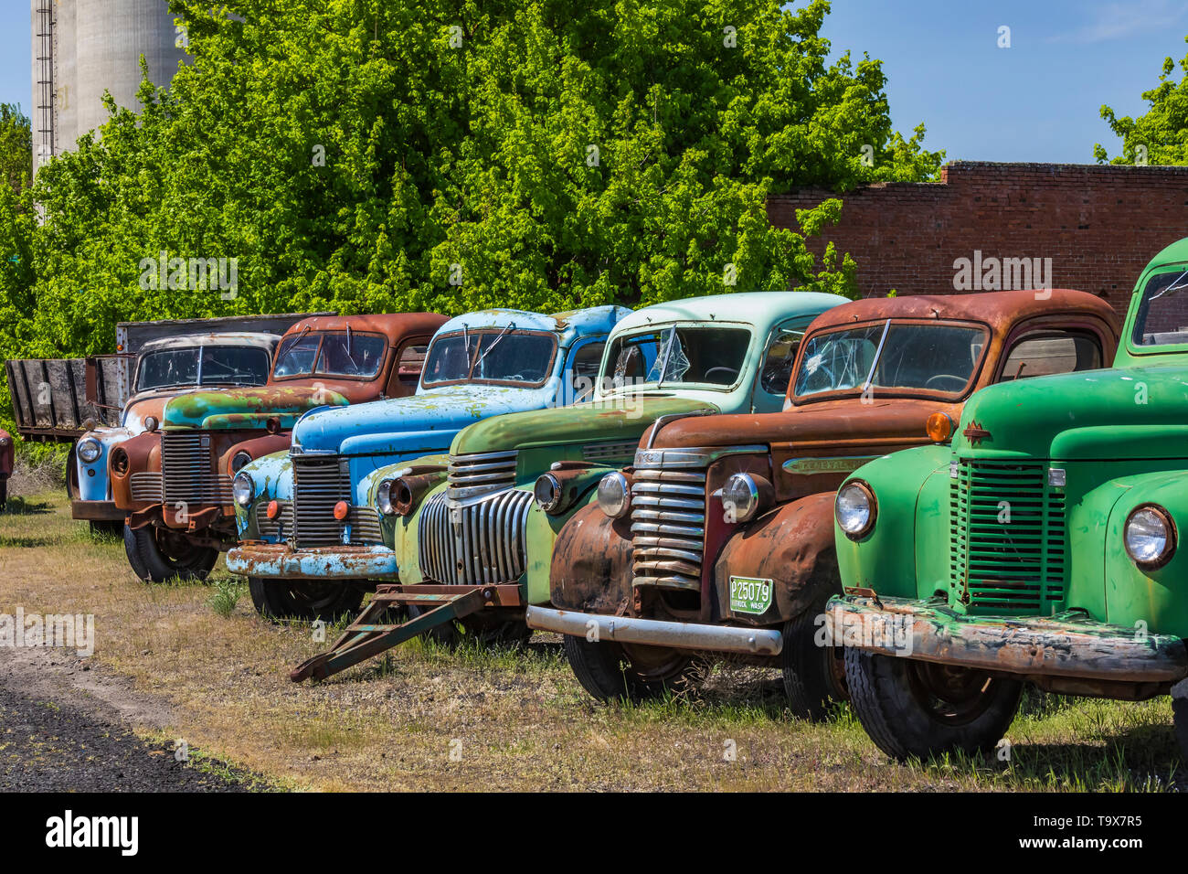 Les camionnettes représentent Dave's vieux camion de collecte de sauvetage dans Sprague, l'État de Washington, USA [pas de biens : disponible uniquement pour les licences d'édition] Banque D'Images