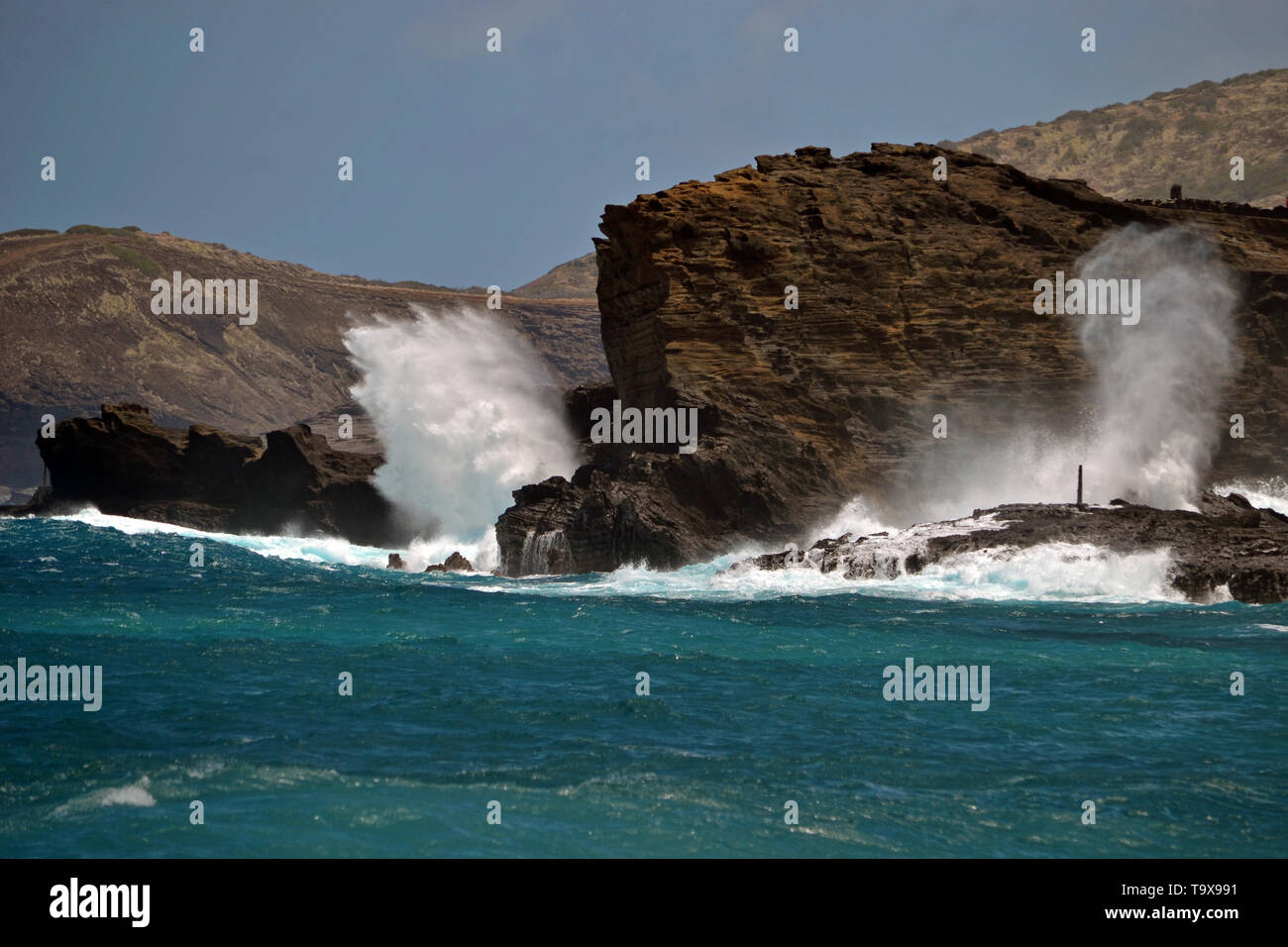 Les vagues déferlent à l'Halona évent, Oahu, Hawaii, USA Banque D'Images