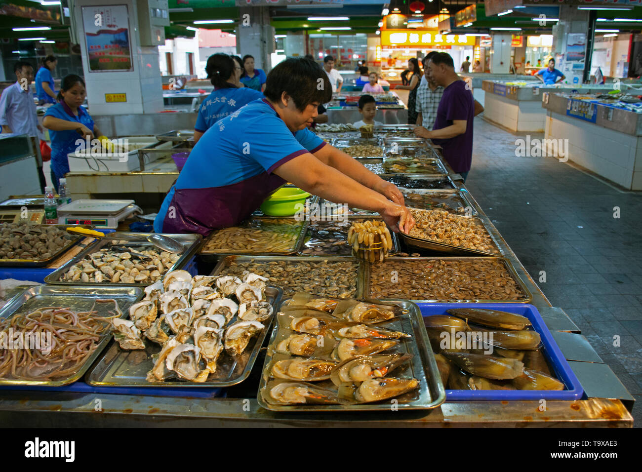 Marché de Fruits de mer à Haikou, Hainan Island, China Banque D'Images
