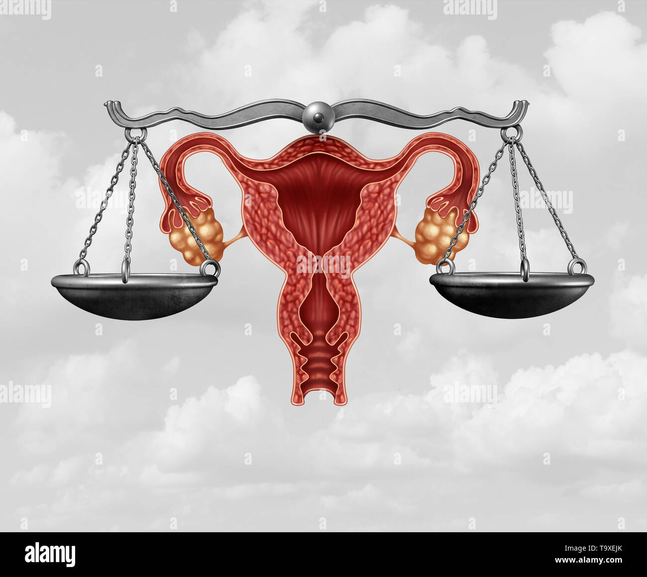 Loi sur l'avortement et la justice de la reproduction comme un concept juridique pour la reproduction de l'homme par le gouvernement de décider les lois concernant la vie pro. Banque D'Images