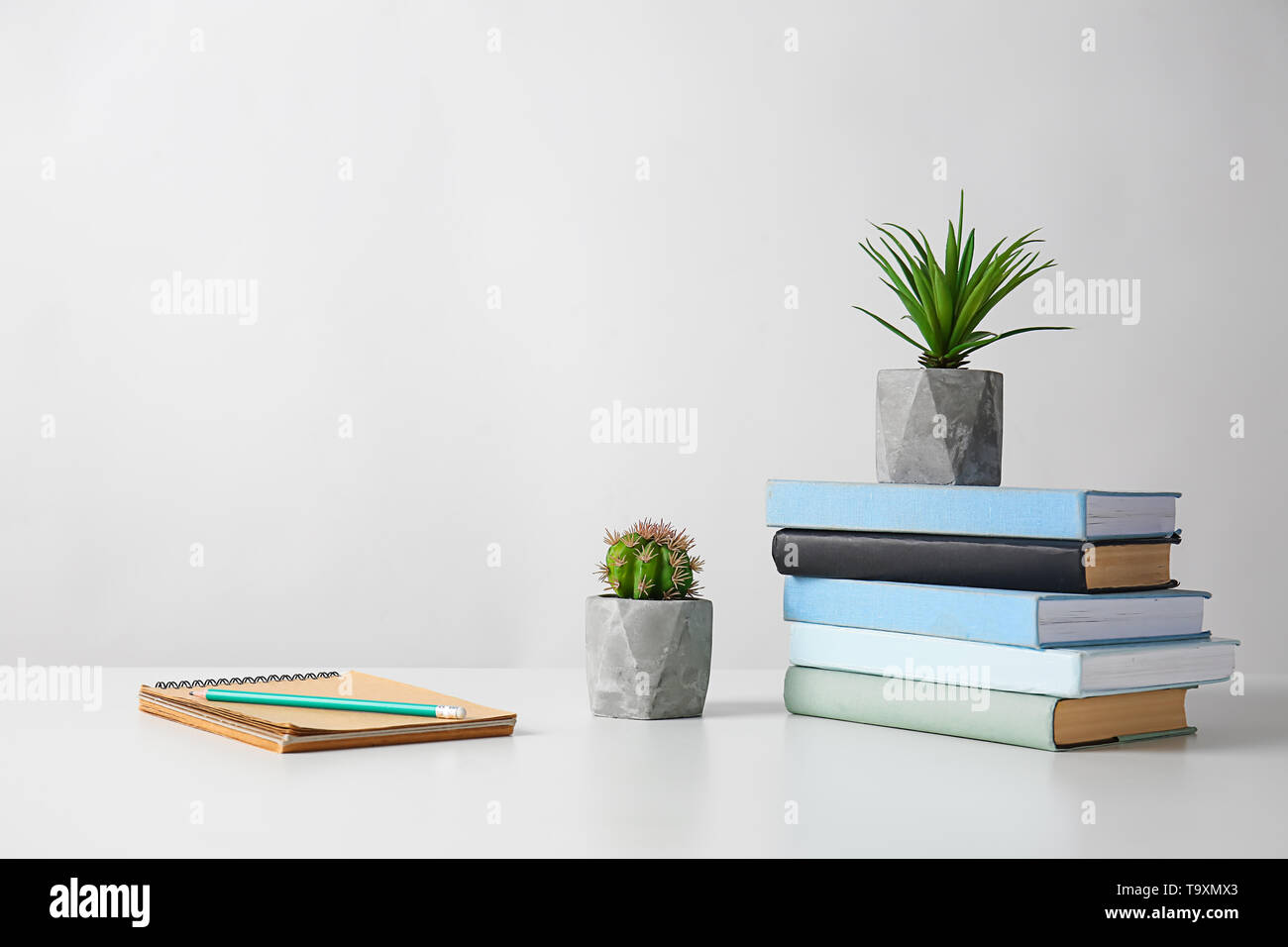 Les plantes vertes en pots avec modèle sur table lumineuse Banque D'Images