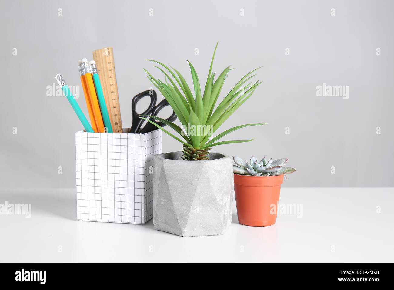 Différentes plantes vertes en pots avec modèle de tableau blanc Banque D'Images