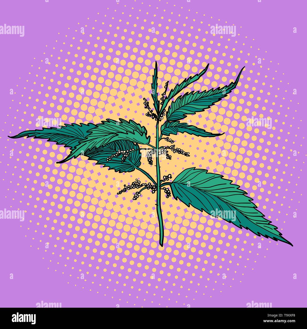 L'ortie, plante gravure vert. Pop art retro kitsch vintage illustration vectorielle Illustration de Vecteur