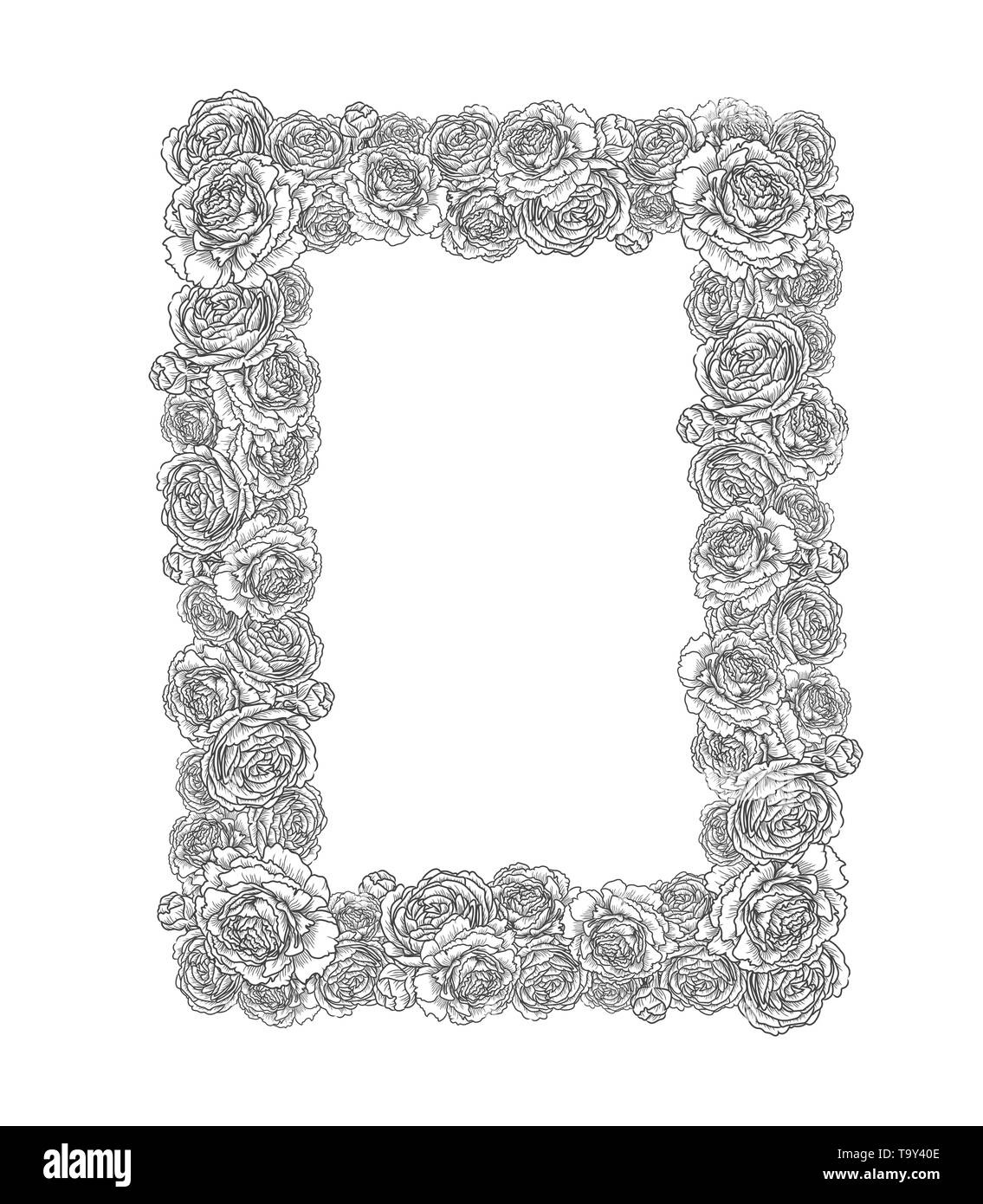 Cadre décoratif avec des fleurs, roses, pivoines. Modèle élégant et élégant pour le texte. Dessin d'illustration vectorielle. Illustration de Vecteur Cadre décoratif avec des fleurs, roses, pivoines. Modèle élégant et élégant pour le texte. Dessin d'illustration vectorielle. Illustration de Vecteur