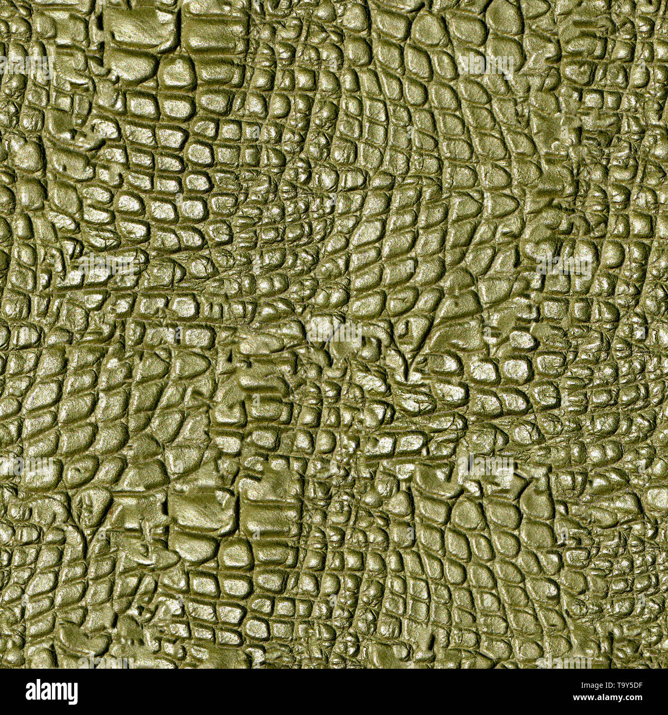 Masquer Alligator Seamless Texture Tile Banque D'Images