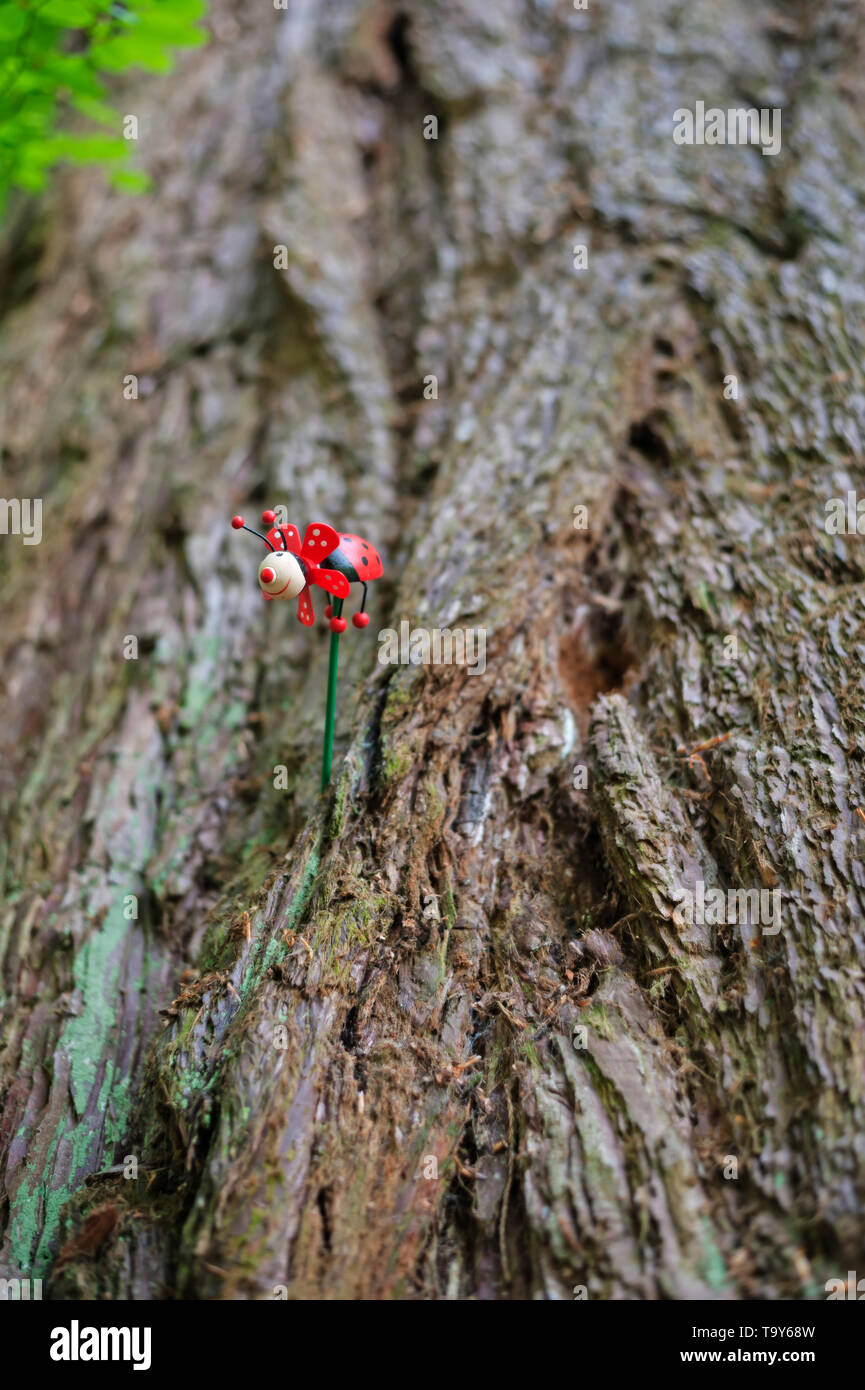 En bois peint de couleurs vives, modèle coccinelle rattaché au tronc d'arbre sur l'écorce Banque D'Images