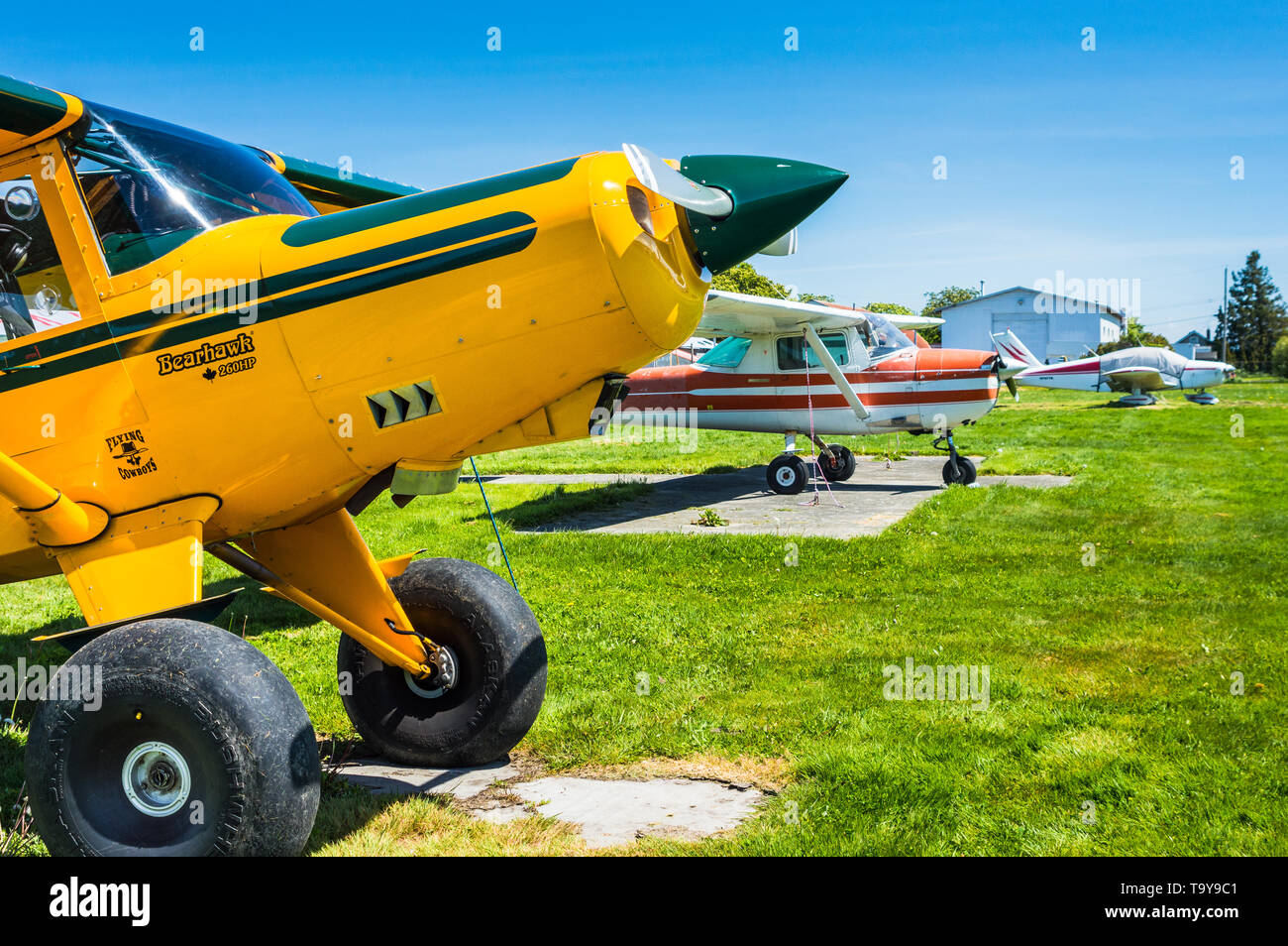 7 mai 2019 - Delta British Columbia : moteur unique prop Bearhawk plan HP 250 stationné au patrimoine Delta Airpark sur journée ensoleillée. Banque D'Images 7 mai 2019 - Delta British Columbia : moteur unique prop Bearhawk plan HP 250 stationné au patrimoine Delta Airpark sur journée ensoleillée. Banque D'Images