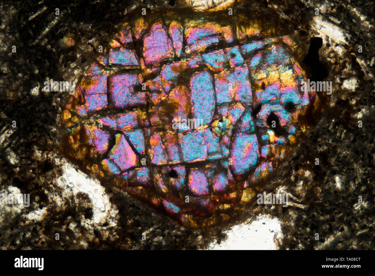 Photomicrographie polarisée, divers minéraux dans la poussière volcanique, le Mont Fuji, Japon, Banque D'Images