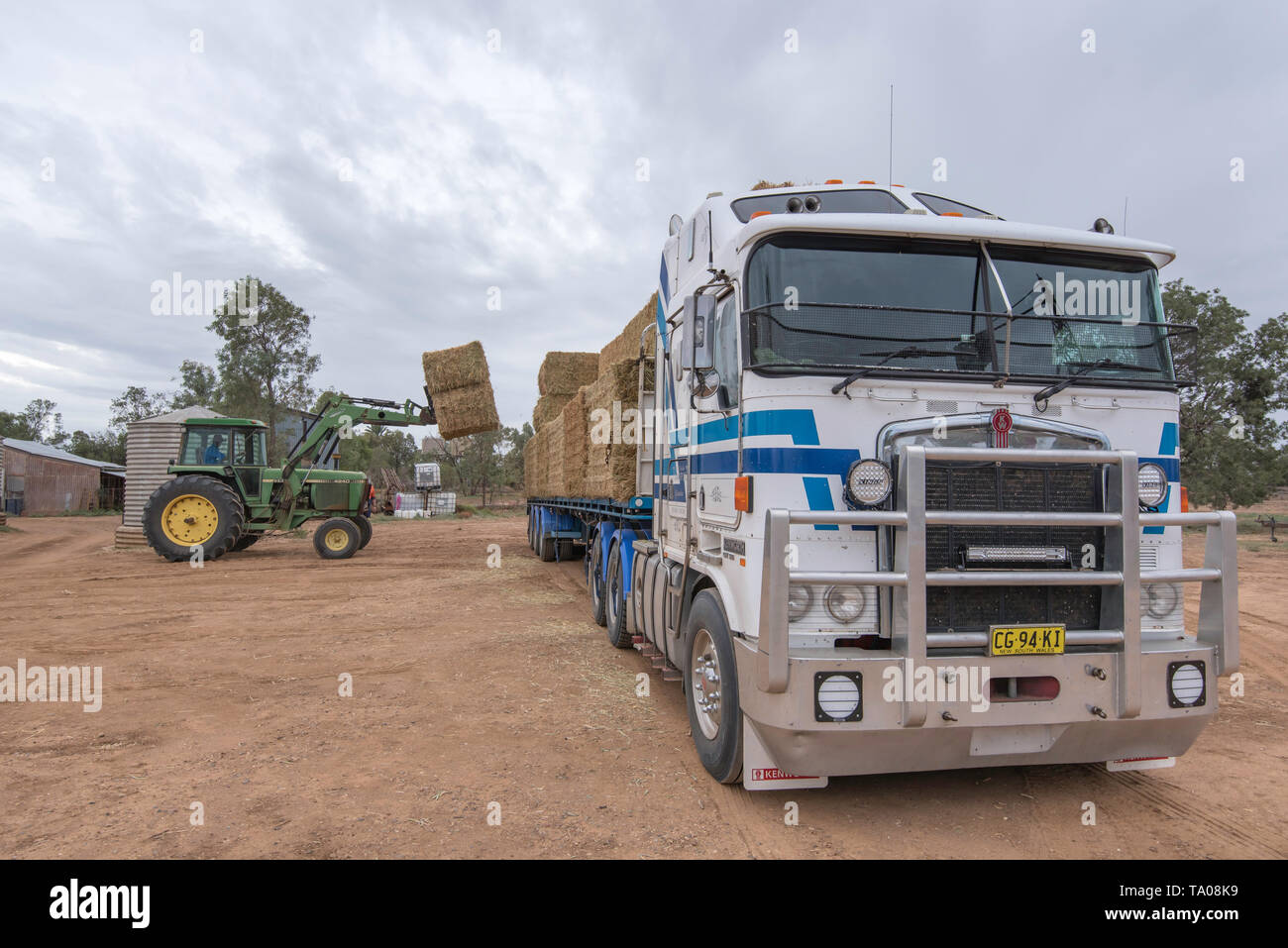 Un grand tracteur avec fourches à foin Foin rectangulaire des ascenseurs du côté d'un semi remorque sur une ferme près de Burren Junction en Australie Banque D'Images