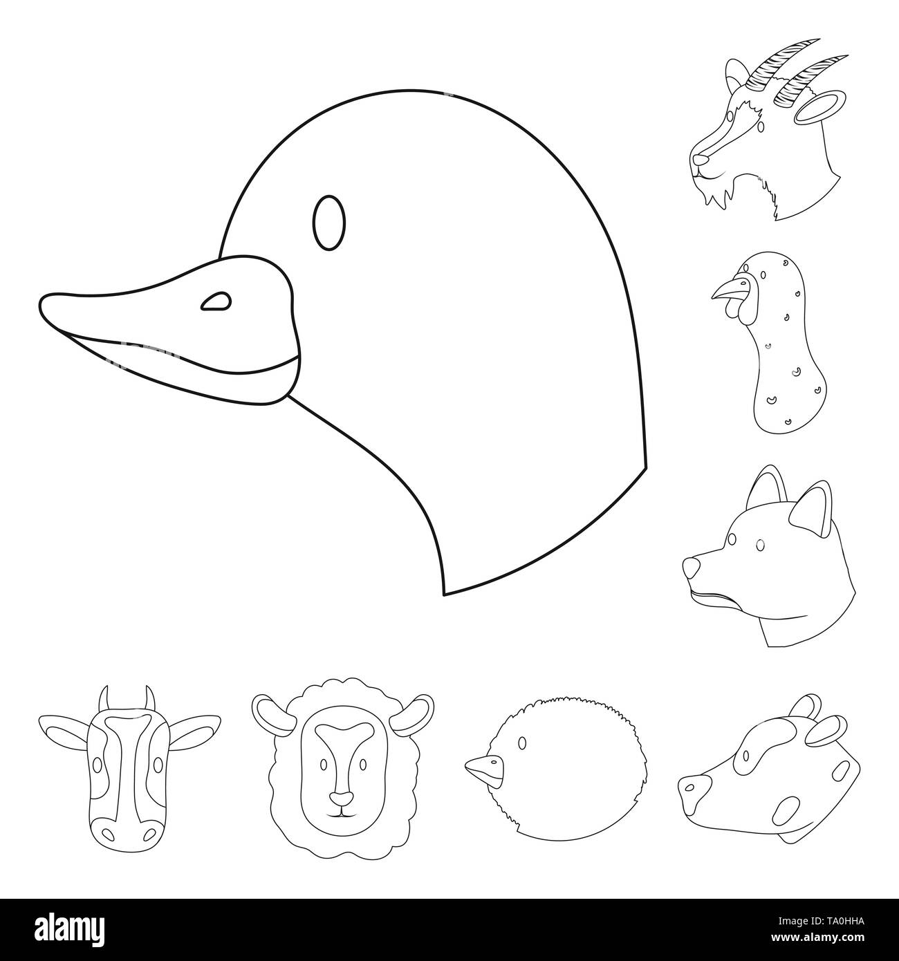 ,Vache,chien,âne poule poussin,chèvre,lapin,cochon,lait,face,Animaux,gris,oeufs,mignon,lapin,viande,bovins,race,mule,lait,,animal,baby,porcinet,pâturage,boeuf,oiseaux,comportement,lièvre,alimentation,campagne,maison,agriculture,ferme,,reproduction,ranch,organiques,ferme,set,tête,vector icon,illustration,collection,isolé,design,graphisme,élément signe,ligne,plan,vecteurs vecteur , Illustration de Vecteur