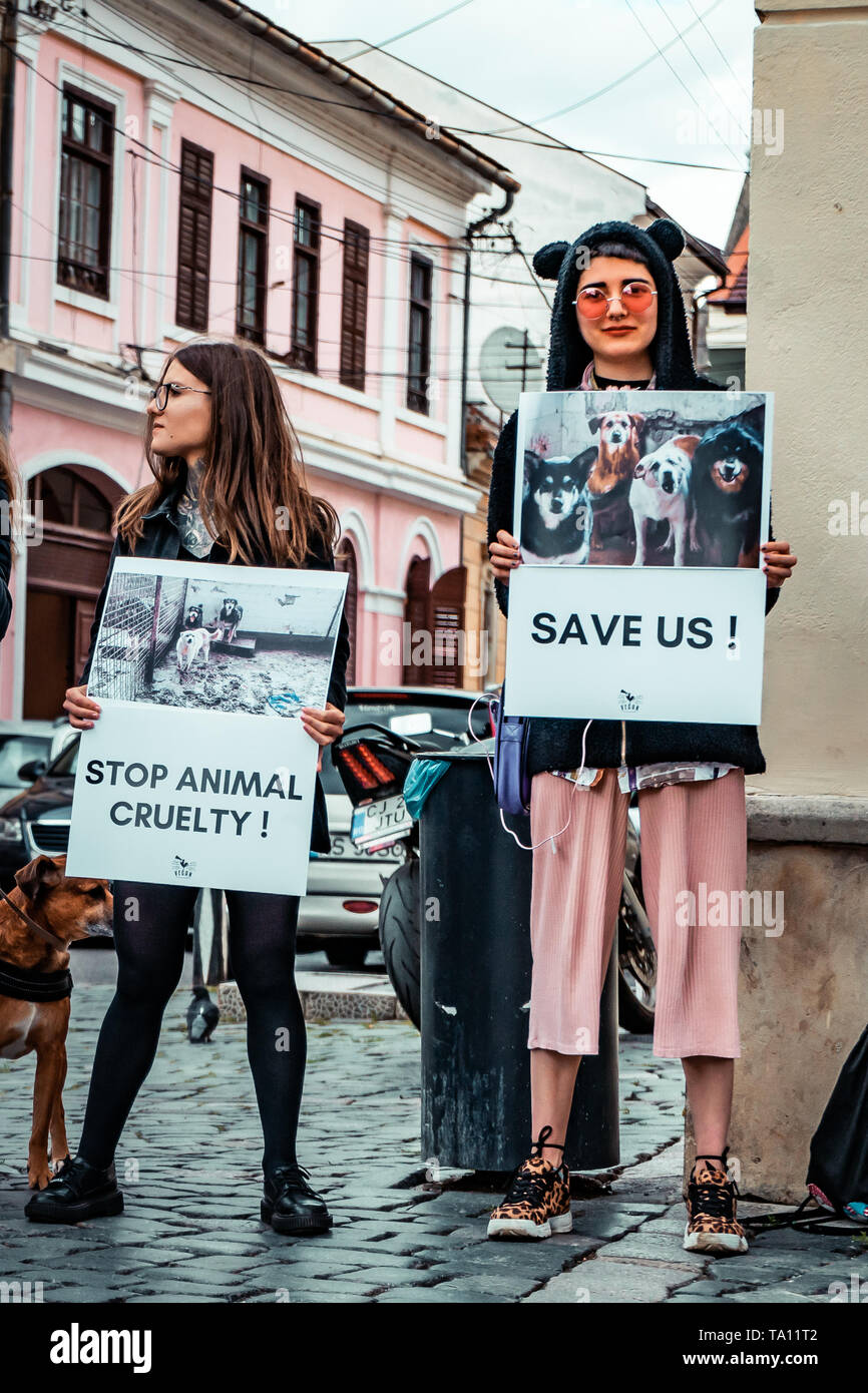 Cesser de protester contre la cruauté animale 05.11.2019 , Cluj-Napoca, Roumanie Banque D'Images