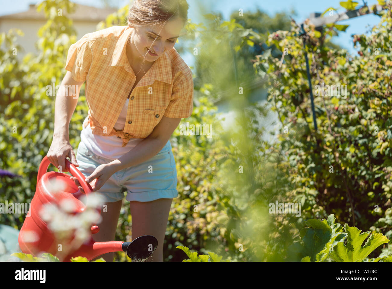 Young woman gardening Banque D'Images