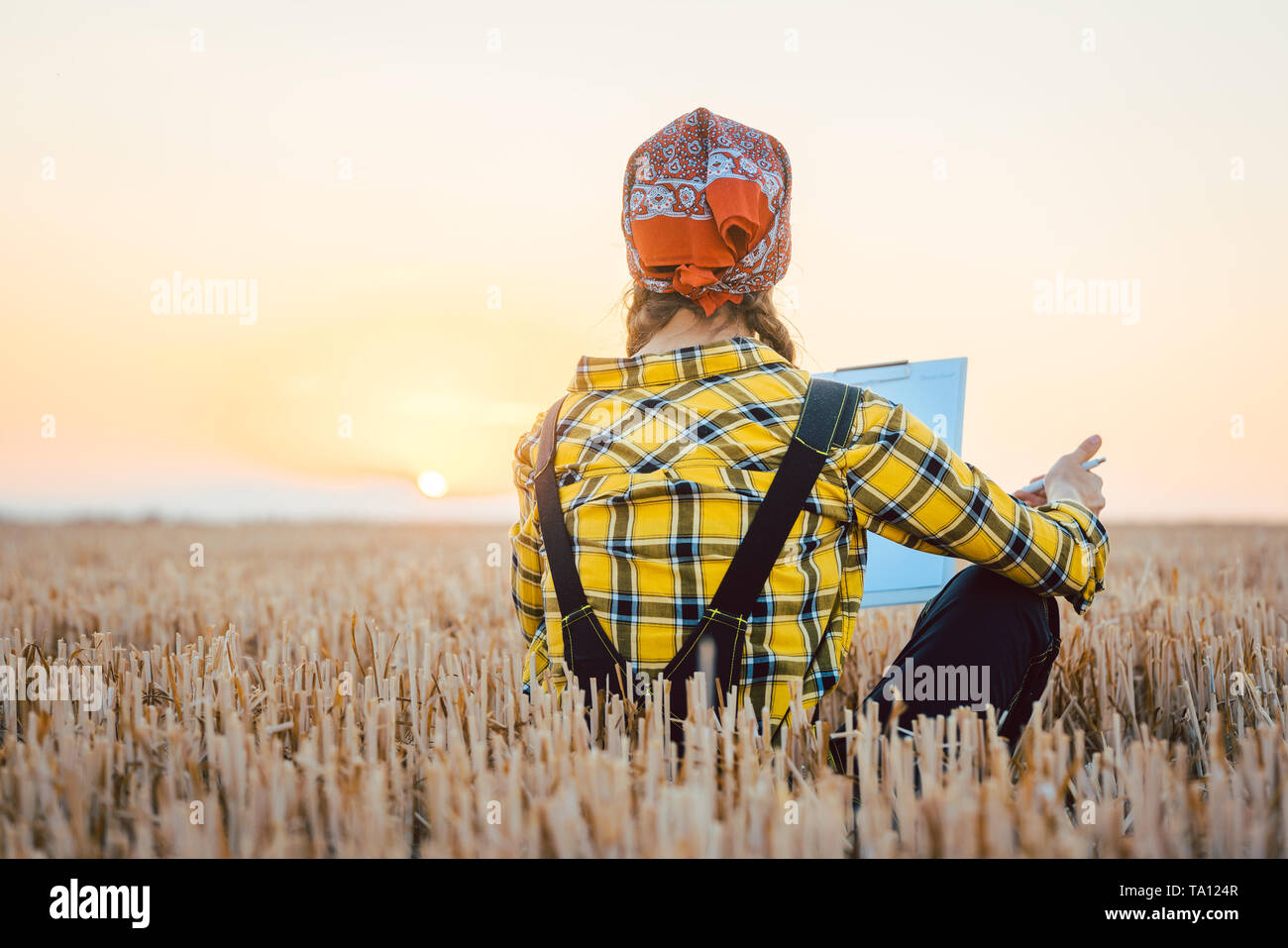 Femme agriculteur récolte calcul rendement après une longue journée Banque D'Images Femme agriculteur récolte calcul rendement après une longue journée Banque D'Images