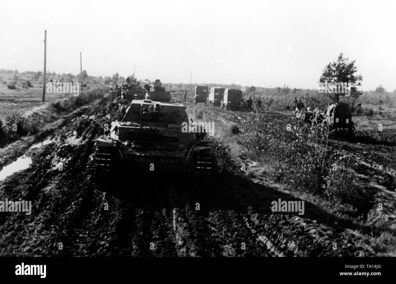 Les chars allemands (y compris Panzerkampfwagen IV) rouler sur une route boueuse au sud du lac Ilmen. En outre, les camions et les véhicules à traction fournir le transport. Photo de l'entreprise de propagande (PK) : SS correspondant de guerre Koerbisser. Banque D'Images