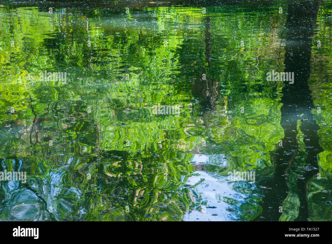 Réflexions de l'eau. Banque D'Images