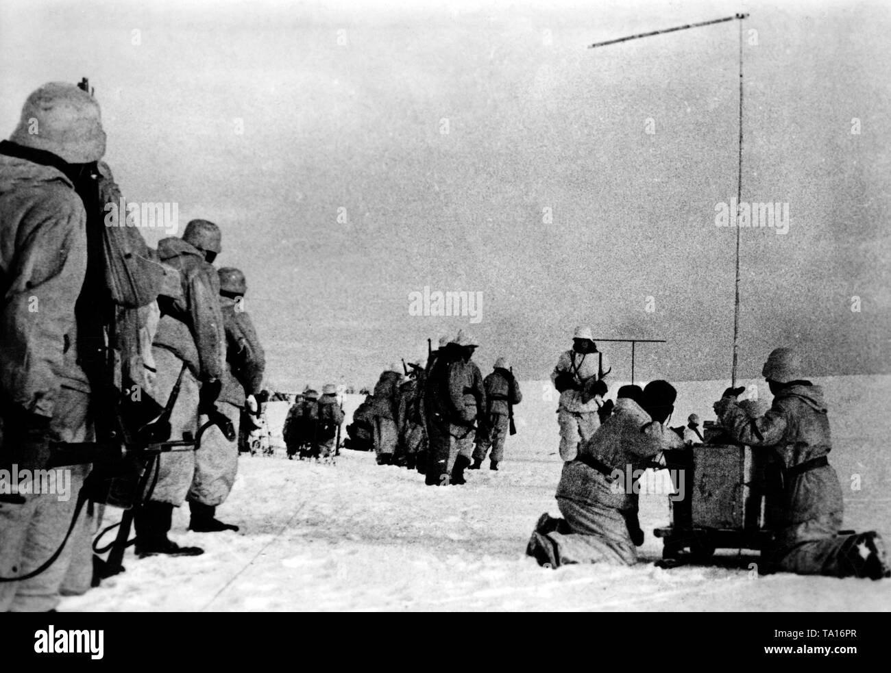 Une unité d'infanterie lors d'une avance sur le front de l'Est. Deux opérateurs radio pour demander le soutien d'artillerie à l'aide d'un téléphone de campagne. Photo de l'entreprise de propagande (PK) : correspondant de guerre Wacker. Banque D'Images