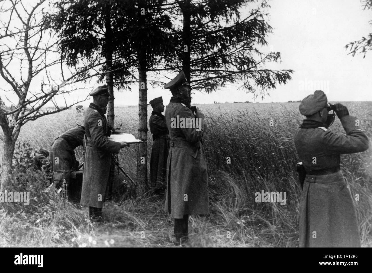 Policiers d'une unité d'artillerie de la Wehrmacht en regardant sur le front de l'est en juillet 1941. Entre autres Général Sichel. Photo : reporter de guerre Sanden. Banque D'Images