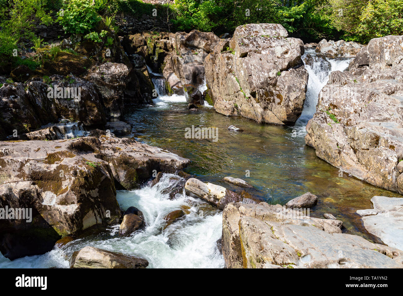 Betws y Coed Conwy Wales 14 mai 2019 petites chutes sur la rivière Llugwy comme il coule à travers le village Banque D'Images