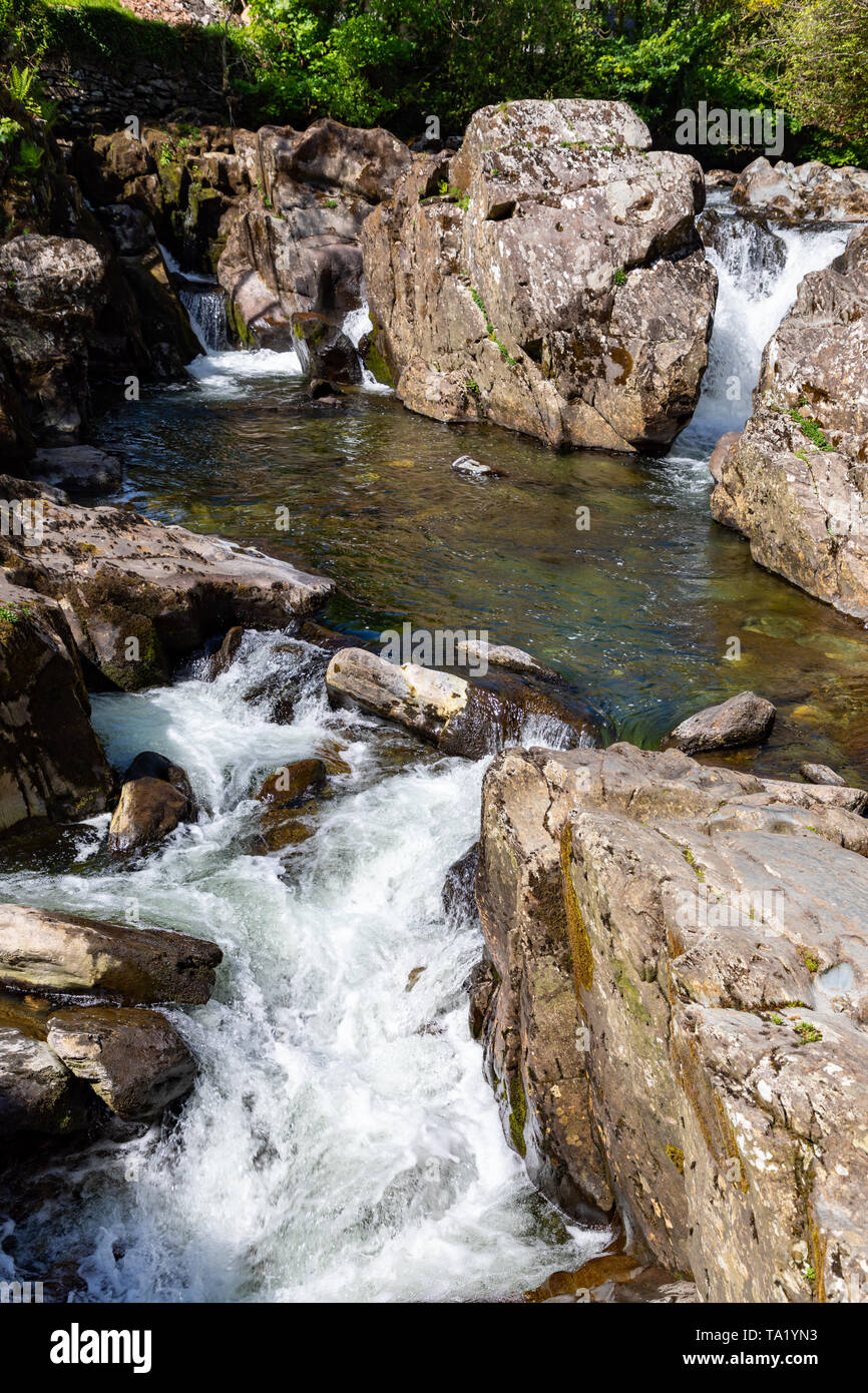 Betws y Coed Conwy Wales 14 mai 2019 petites chutes sur la rivière Llugwy comme il coule à travers le village Banque D'Images
