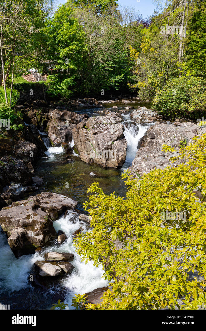 Betws y Coed Conwy Wales 14 mai 2019 petites chutes sur la rivière Llugwy comme il coule à travers le village Banque D'Images