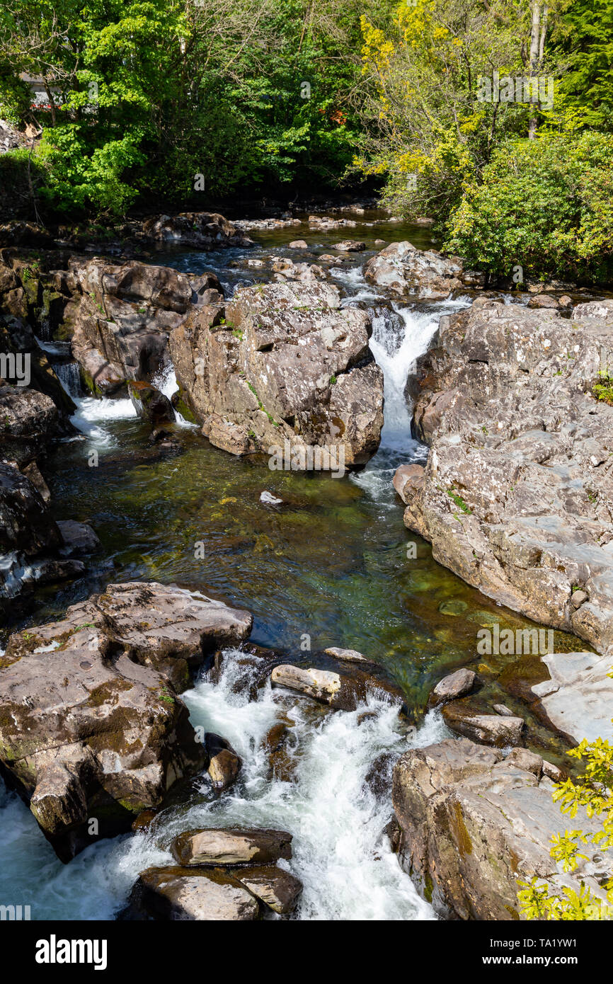 Betws y Coed Conwy Wales 14 mai 2019 petites chutes sur la rivière Llugwy comme il coule à travers le village Banque D'Images