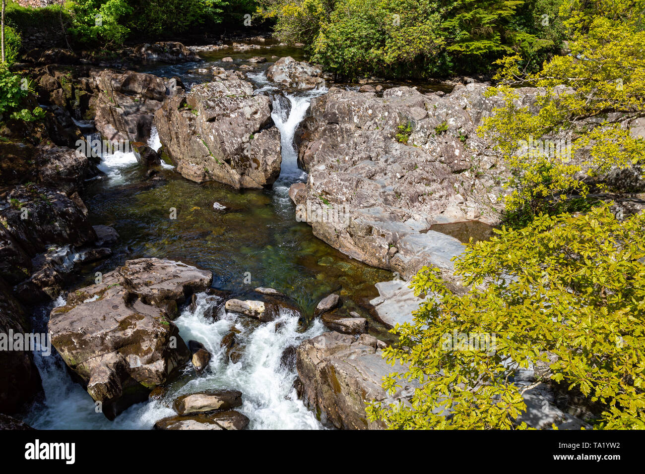 Betws y Coed Conwy Wales 14 mai 2019 petites chutes sur la rivière Llugwy comme il coule à travers le village Banque D'Images