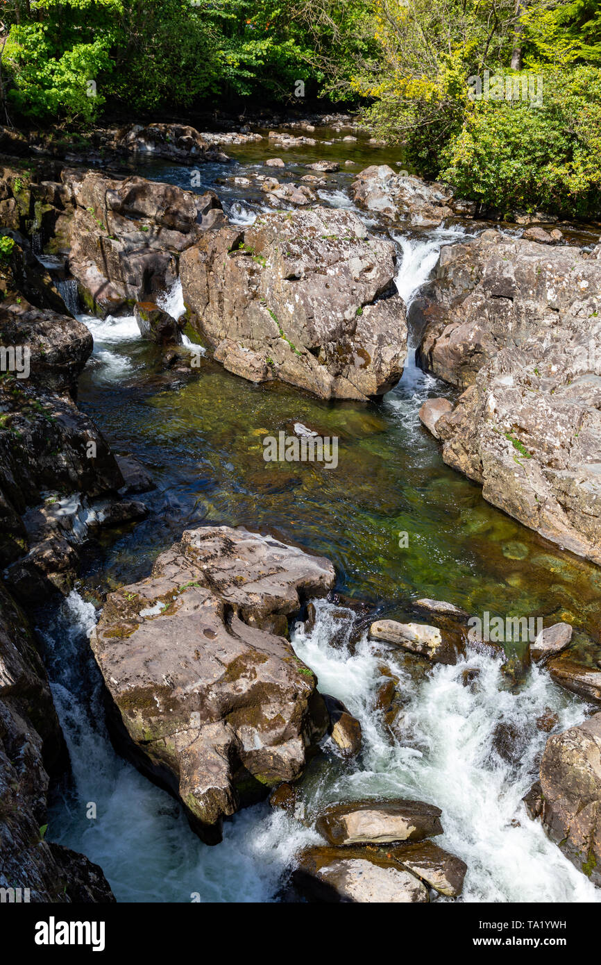 Betws y Coed Conwy Wales 14 mai 2019 petites chutes sur la rivière Llugwy comme il coule à travers le village Banque D'Images