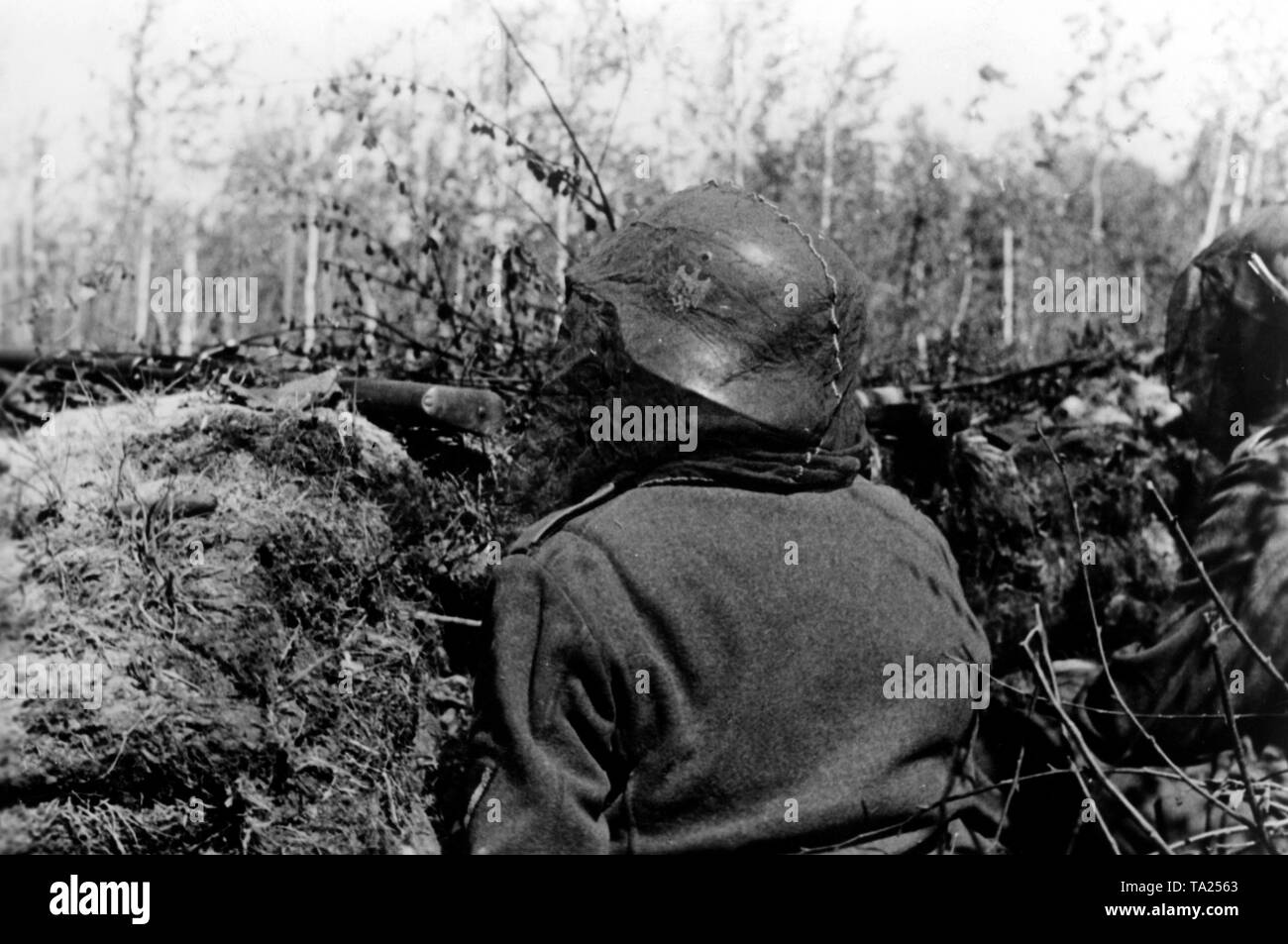 Les soldats allemands derrière un monticule au sud-est du lac Ilmen au secteur nord du front de l'Est. Pour se protéger contre les moustiques, les soldats ont tiré un voile sur leur visage. Photo de l'entreprise de propagande (PK) : correspondant de guerre Etzold. Banque D'Images