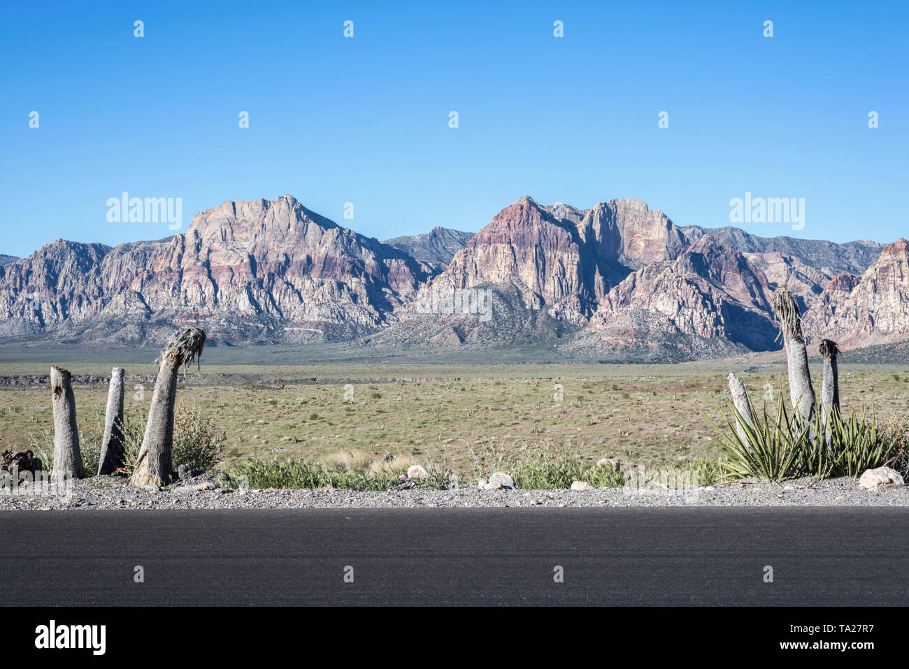 Red Rock Canyon National Conservation Area. Las Vegas, Nevada, USA. Banque D'Images