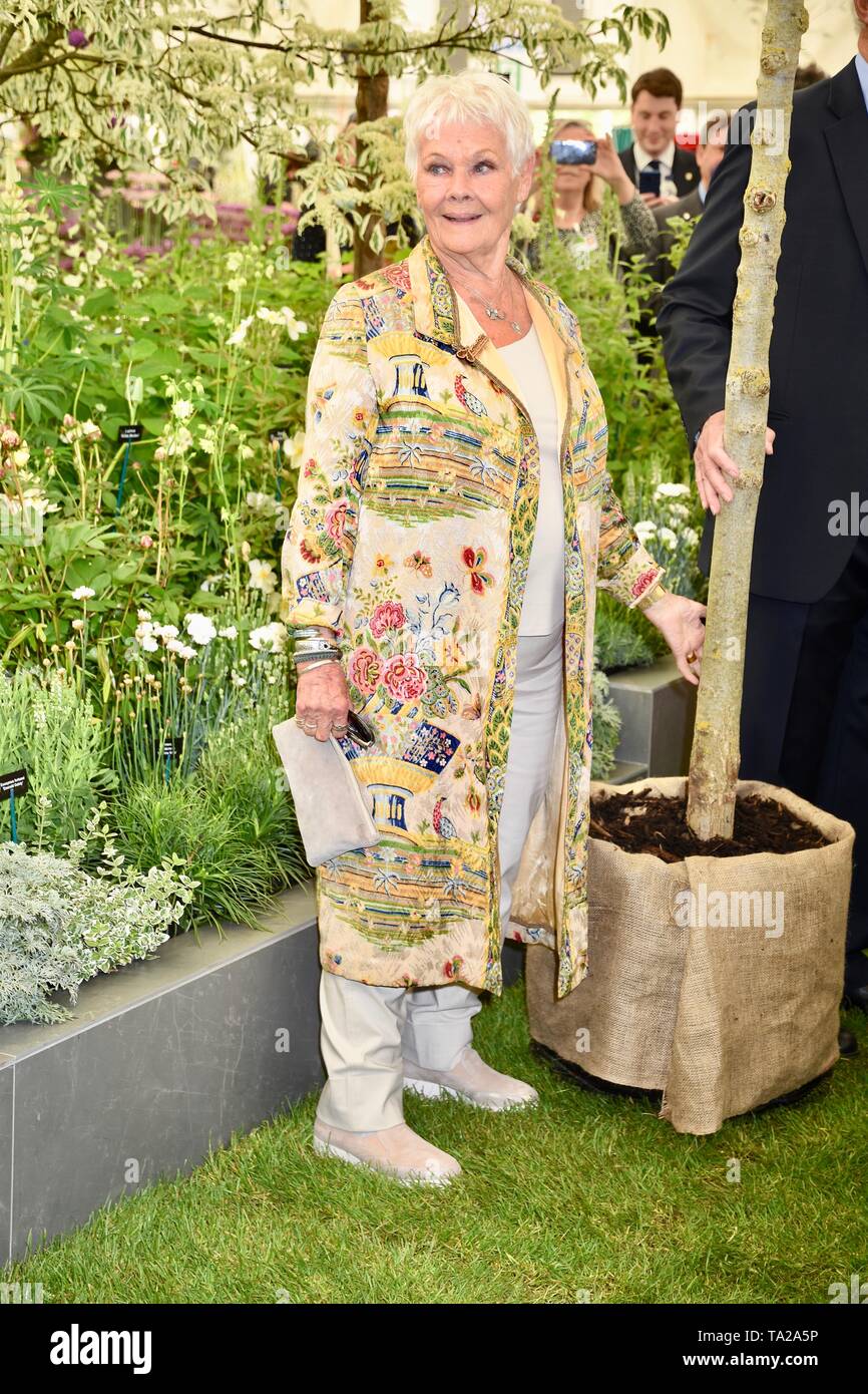 Dame Judi Dench a été présenté avec un jeune arbre orme de lancer la re-elming de la campagne britannique à partir de cette année. Pépinières Hillier, RHS Chelsea Flower Show, appuyez sur Jour, Londres Banque D'Images