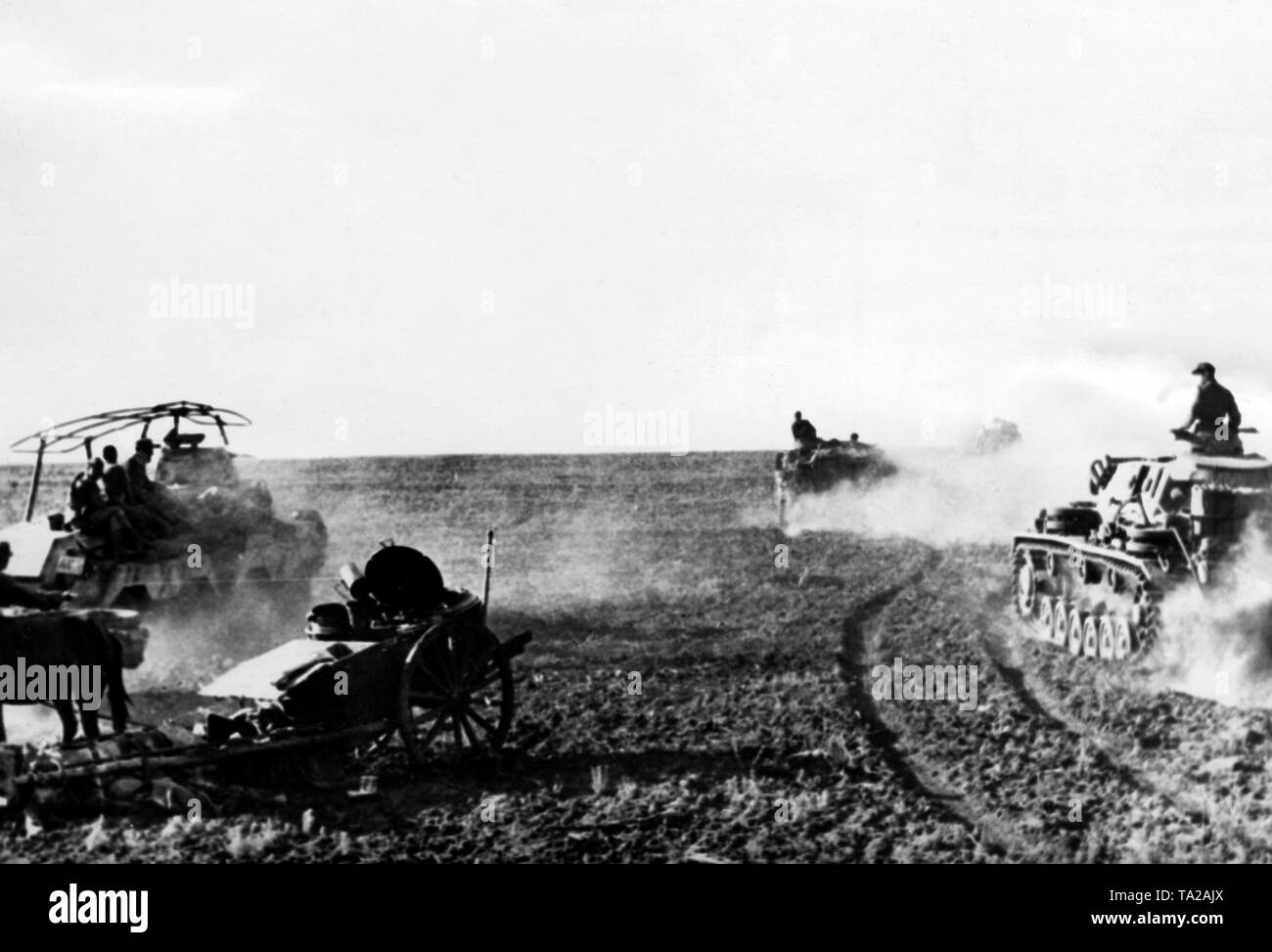 Les réservoirs de la Wehrmacht avance dans un champ sur le front de l'Est. En dehors d'un Panzer IV, il y a aussi une voiture de reconnaissance blindé avec cadre antennes sur la gauche entre les véhicules. Photo de l'entreprise de propagande (PK) : SS correspondant de guerre Adendorf. Banque D'Images