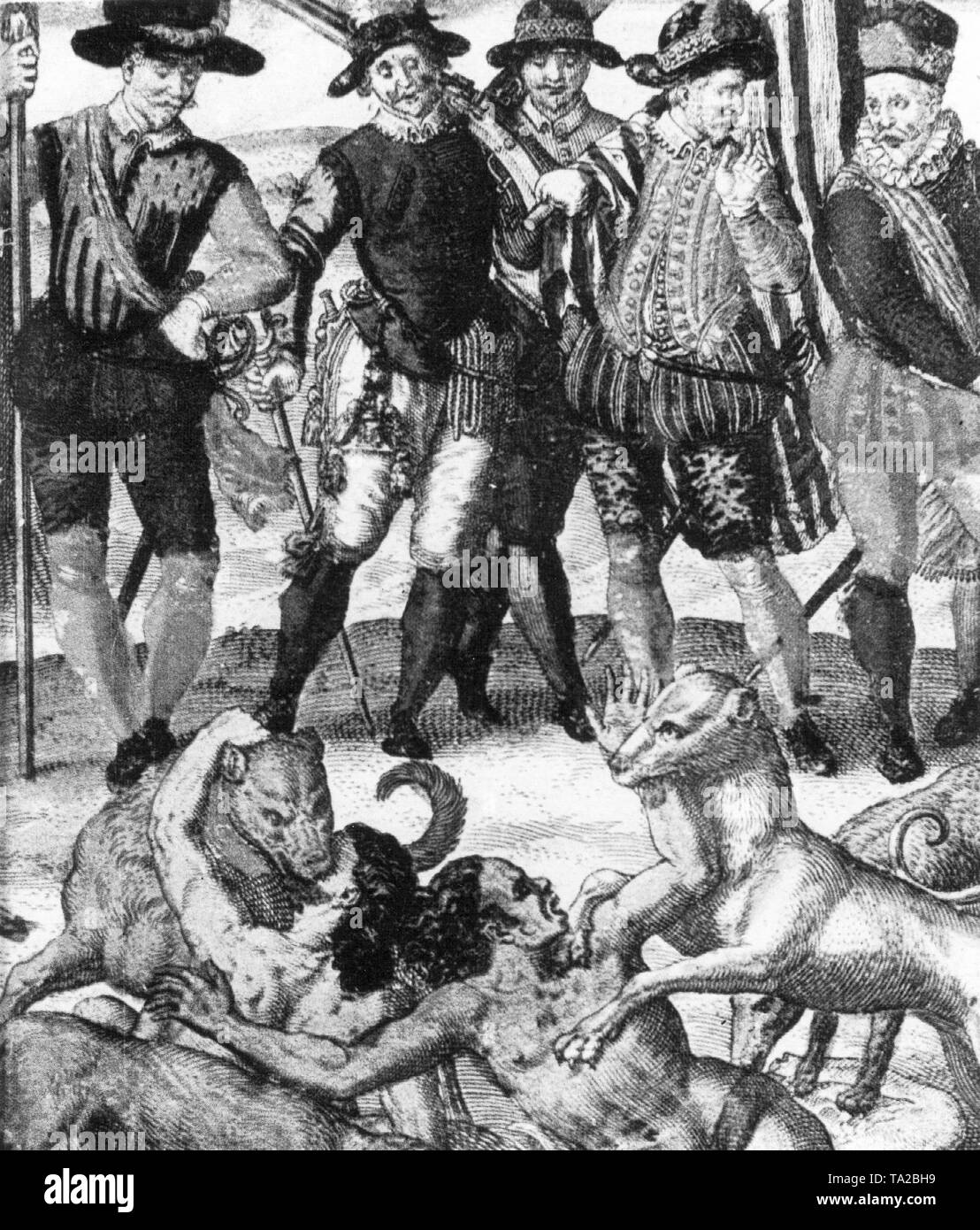 Après Pizarro a massacré des milliers de des Incas en Cajamarca en 1532 et capturé le roi Inca Atahualpa, a commencé la chasse après l'or des Incas. L'illustration montre comment Pizarro formés son des chiens d'attaque de sic sur les Indiens qui ne veulent pas céder leur or à lui. Banque D'Images