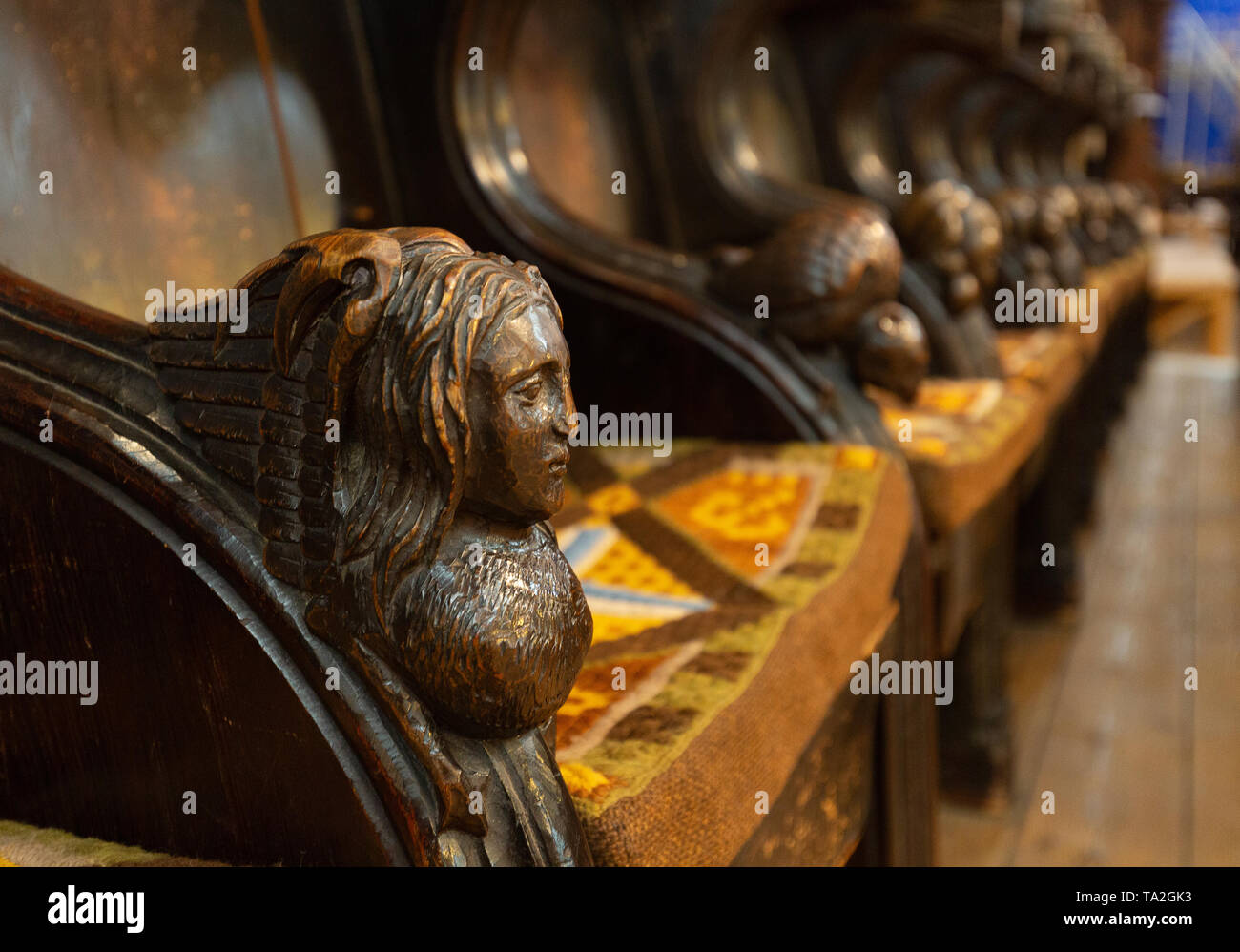 Le Malvern Priory - close up de la sculpture médiévale sur un misericord, sièges pour les moines, Prieuré de Great Malvern et Malvern Worcestershire, Royaume-Uni Banque D'Images