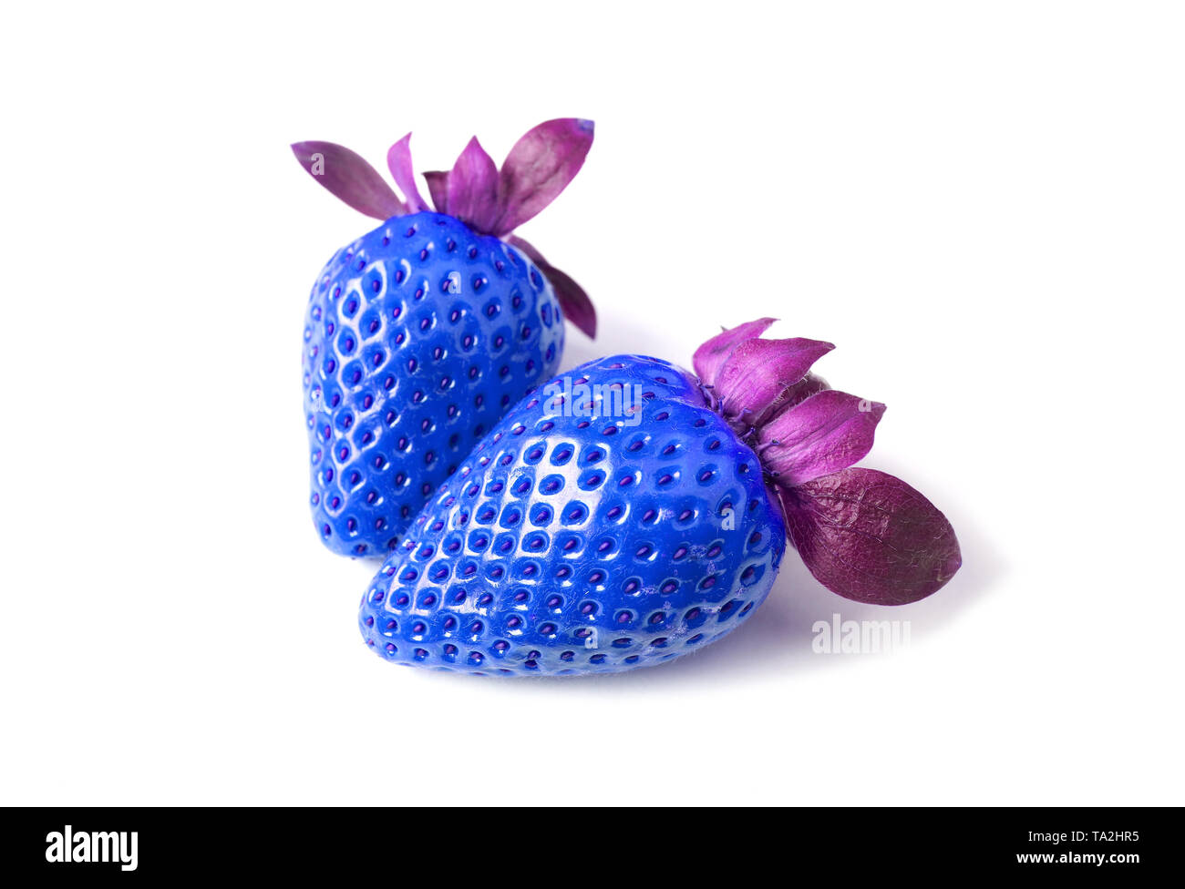 Paire de fraises fraîches en bleu et violet isolé sur fond blanc Banque D'Images