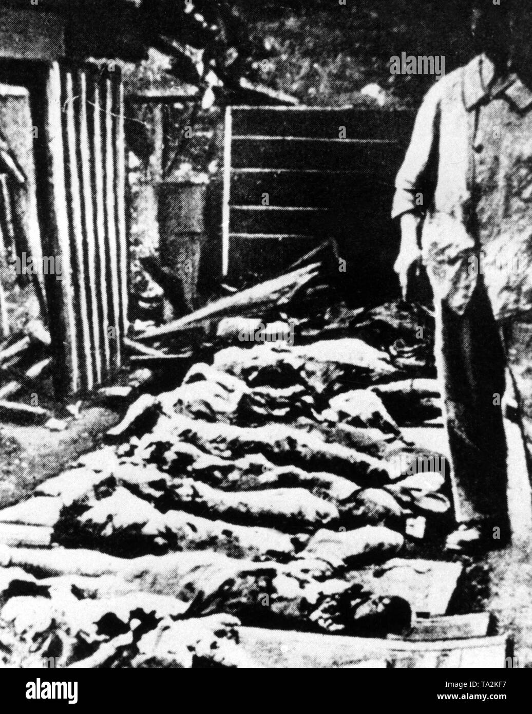 Crime de guerre à Oradour : photo montre cadavres brûlés dans l'église d'Oradour. Banque D'Images