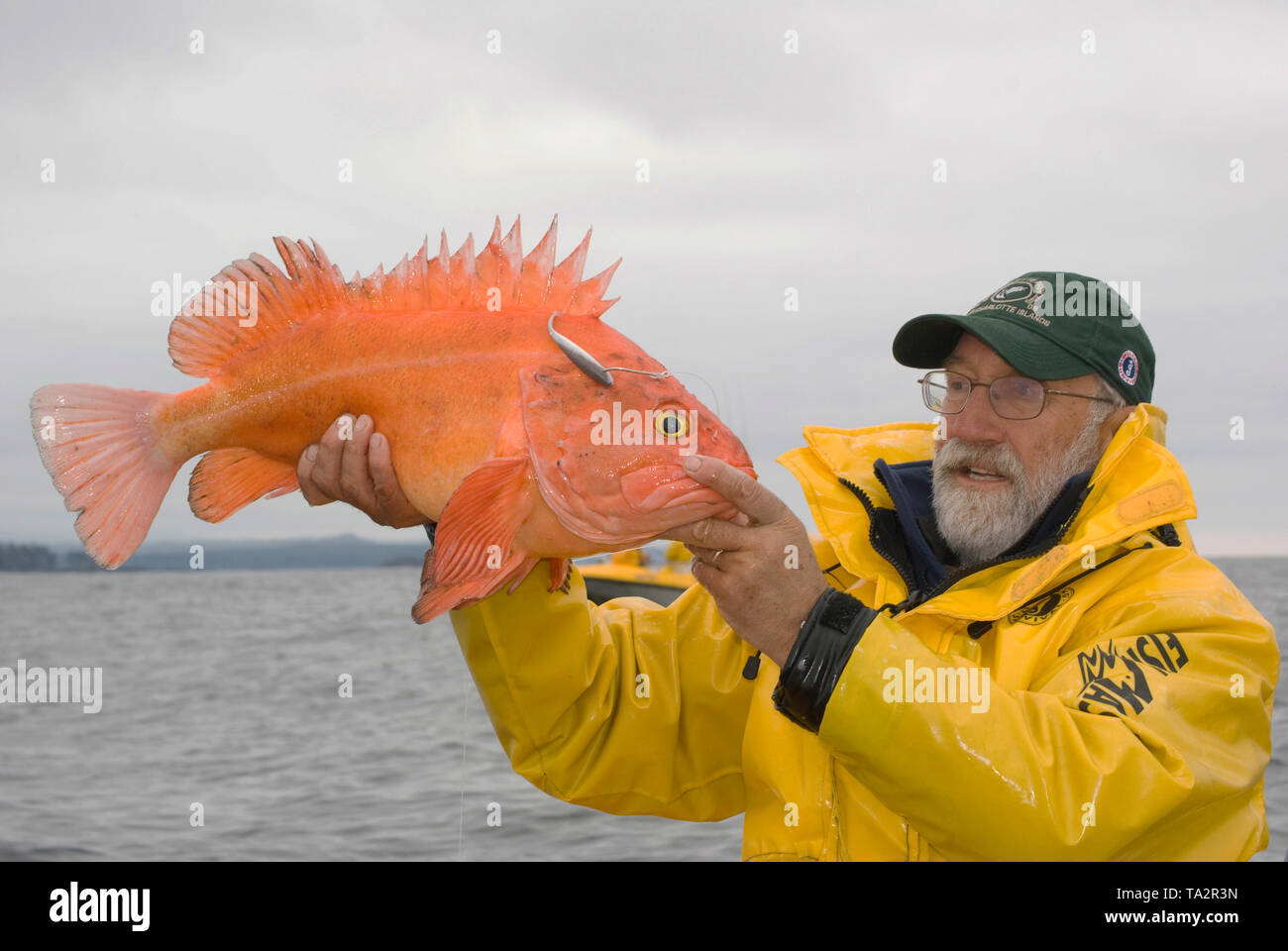 L'activité de pêche à l'île Langara, Haida Gwaii. . Dave Vedder avec un Yelleye Sébaste attrapé sur un appât en plastique. Banque D'Images