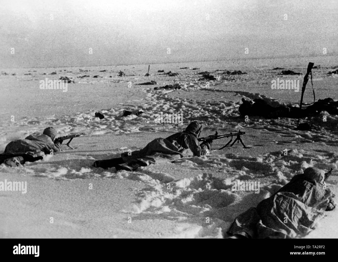 Les soldats allemands ramper sur un terrain couvert de neige au sud-est du lac Ilmen. Deux soldats sont équipés d'un mousqueton K 98, les autres avec une MG 34. Ils ont mis des toiles blanches sur leur uniforme d'être mieux camouflée. Dans l'arrière-plan, de nombreux soldats morts. Photo de l'entreprise de propagande (PK) : correspondant de guerre Cantzler. Banque D'Images