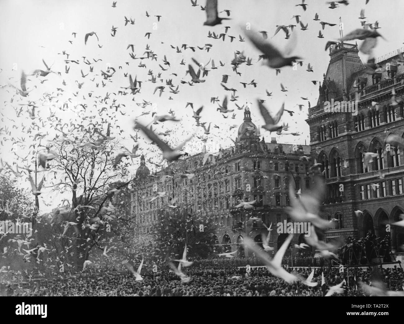 Après l'annexion de l'Autriche à l'Empire allemand, le jour de la Grand Reich allemand est célébré à Vienne. Au cours de la fête, 30 000 pigeons blancs sont libérés, qui ont répandu la nouvelle. Banque D'Images