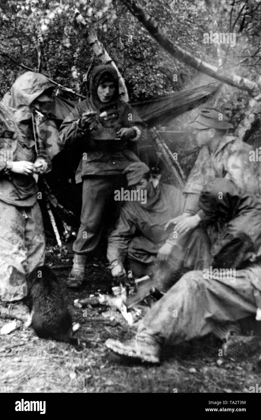 Les soldats allemands se réchauffer et leur nourriture par un petit feu de camp dans les Beskides. Ils ont établi le camp sous les arbres, pour se protéger de la pluie d'automne. Photo de l'entreprise de propagande (PK) : correspondant de guerre Knaack. Banque D'Images