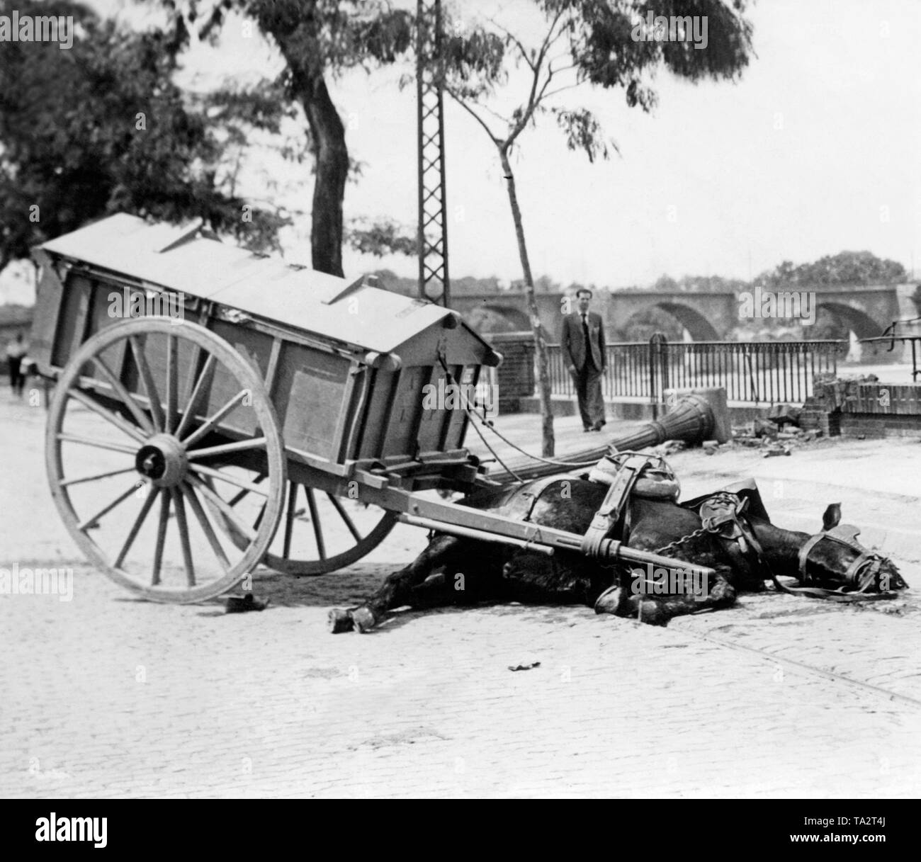 Photo d'un cheval tué par une attaque à la bombe dans une ville en Soania à l'été 1936. Le cheval avait déjà été exploitée pour un panier. Dans l'arrière-plan, un passant observe la scène. Banque D'Images