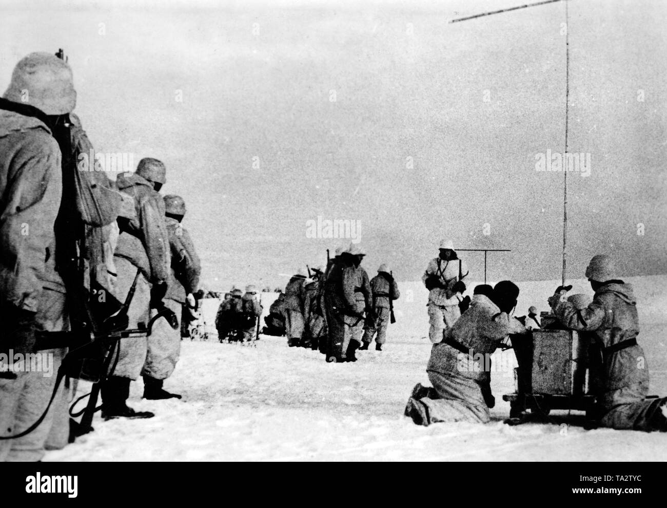 Une unité d'infanterie lors d'une avance sur le front de l'Est. Deux opérateurs radio pour demander le soutien d'artillerie à l'aide d'un téléphone de campagne. Photo de l'entreprise de propagande (PK) : correspondant de guerre Wacker. Banque D'Images