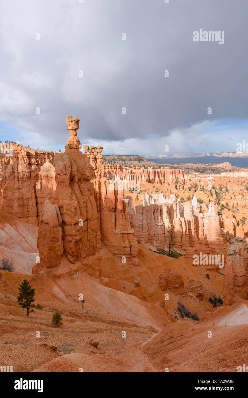 Le marteau de Thor - Printemps de gros nuages planent sur Thor imposants' Marteau et vallée des formations de grès Hoodoo à Bryce Canyon National Park, Utah, États-Unis. Banque D'Images