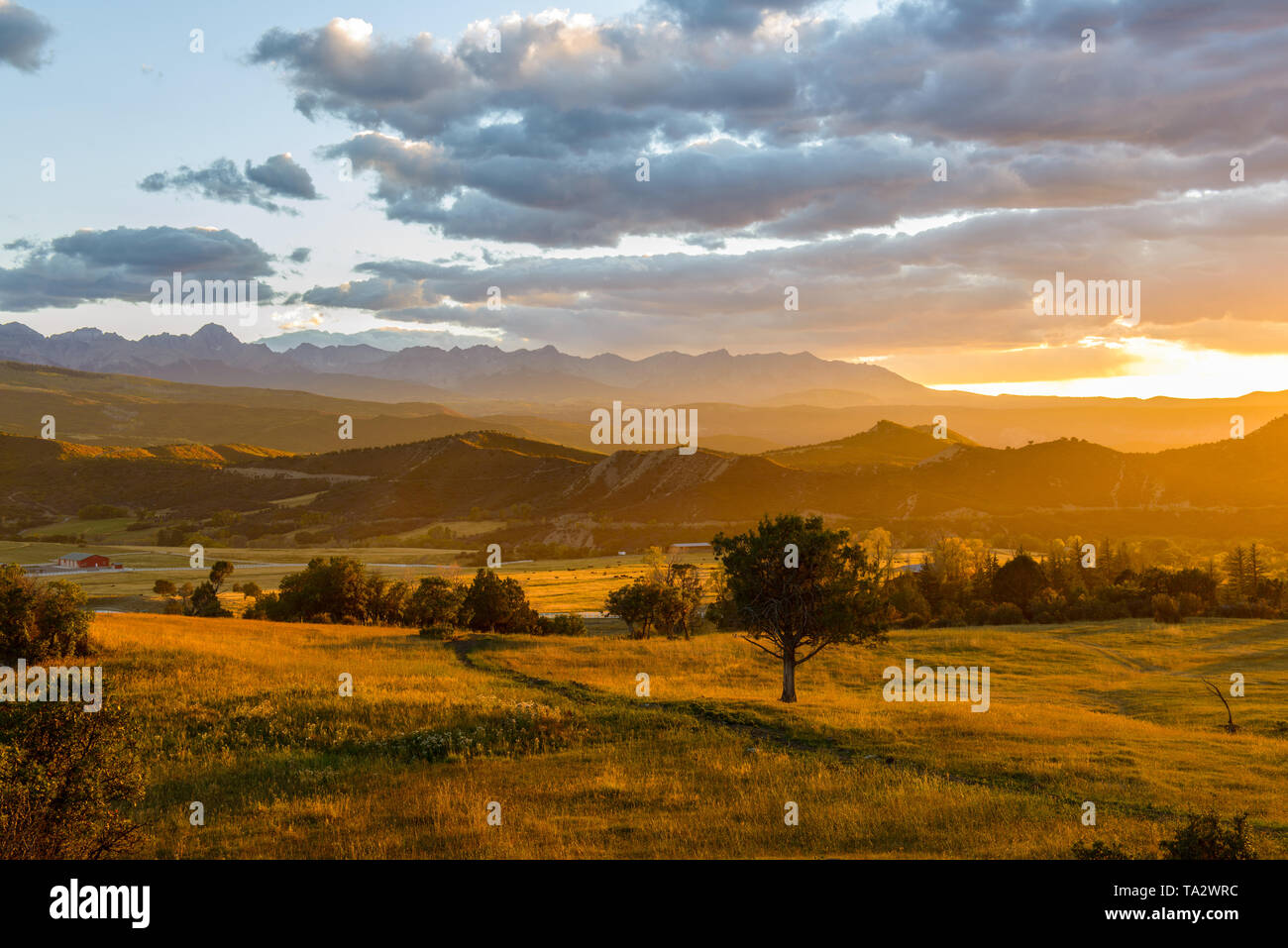 San Juan - Coucher de soleil d'automne scène d'une vallée de montagne à pied du Sneffels robuste gamme de montagnes de San Juan dans le Colorado Rockies. CO, USA. Banque D'Images