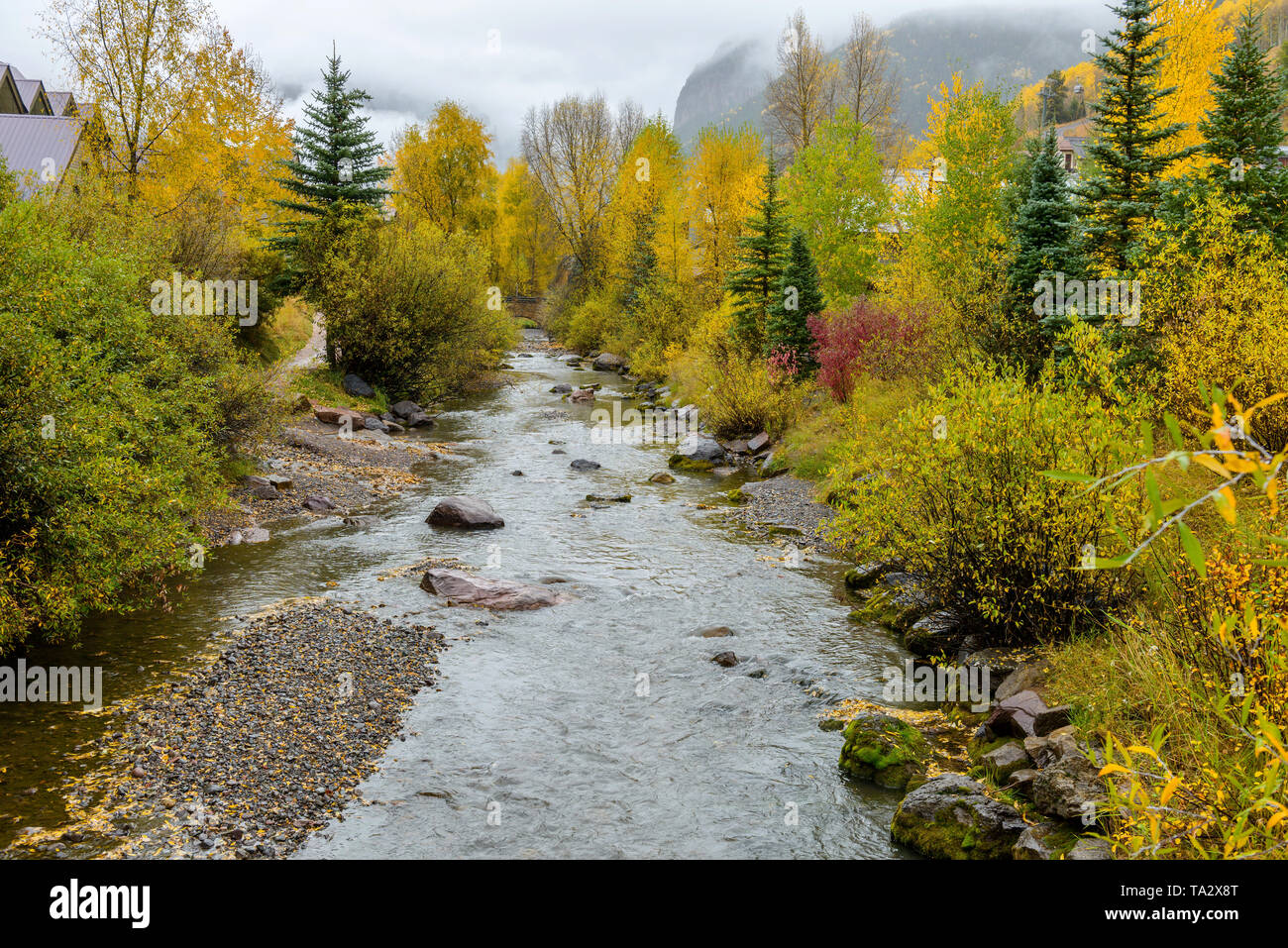 Misty Mountain Creek automne - automne sur San Miguel, s'écoulant à travers la ville de Telluride, Colorado, USA. Banque D'Images