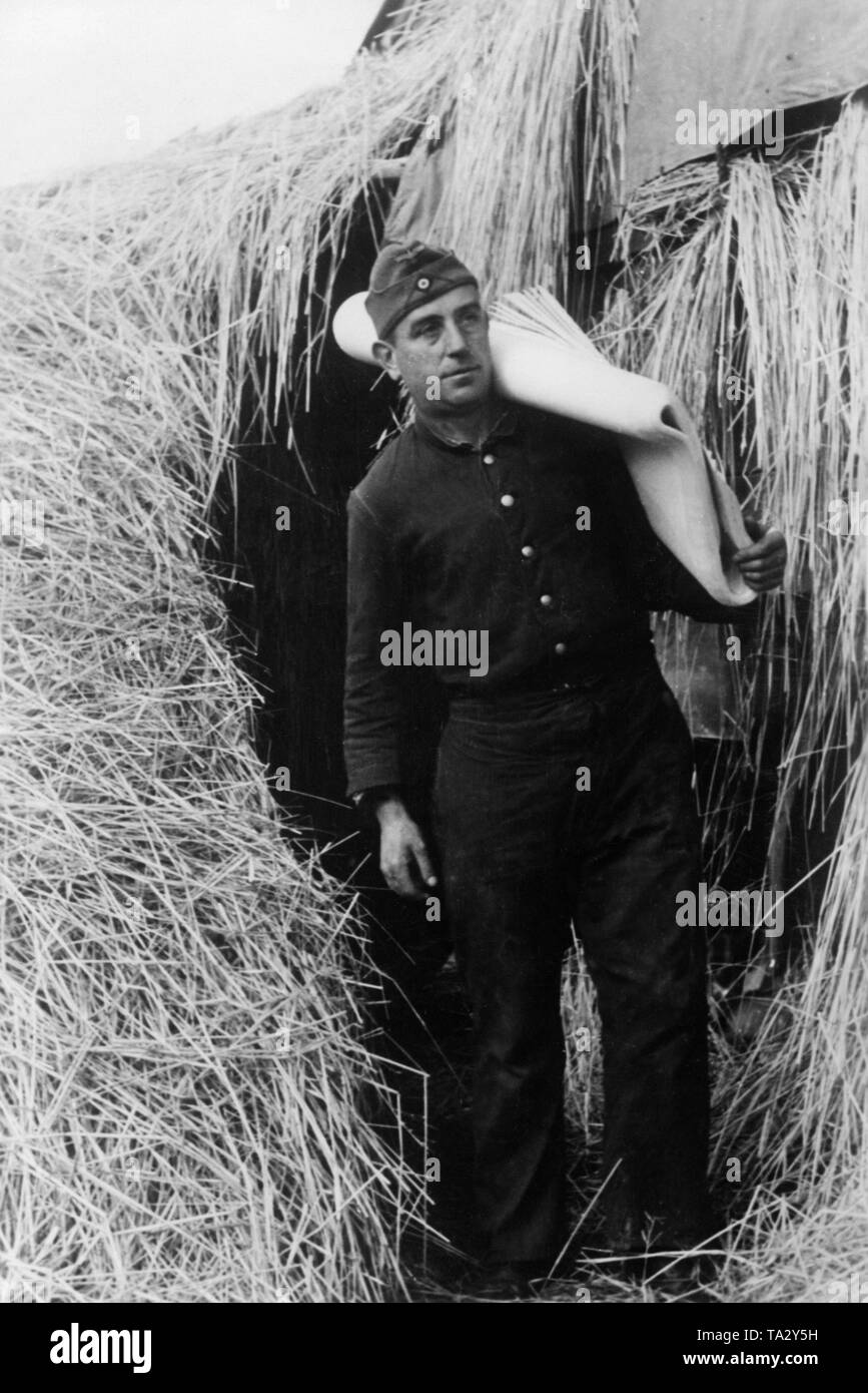 Un soldat de la Wehrmacht prépare des cartes terminées pour l'expédition. Dans la région de devant, de nouvelles cartes ont été faites pour la Wehrmacht dans la configuration de l'impression. Photo : C. der Piepen de correspondant de guerre. Banque D'Images