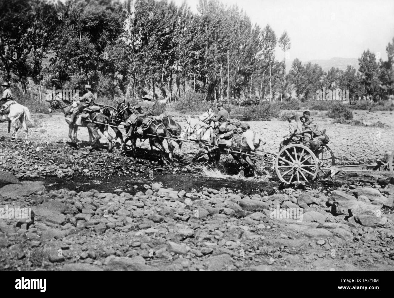 Photo d'un attelage de six chevaux pour traverser un tracteur d'artillerie creek pendant le changement de position au Front Nord, à Santander, Cantabria, Espagne, à l'été 1937. Coupée sur la droite : le transport des armes à feu et les armes à feu d'artillerie. Banque D'Images