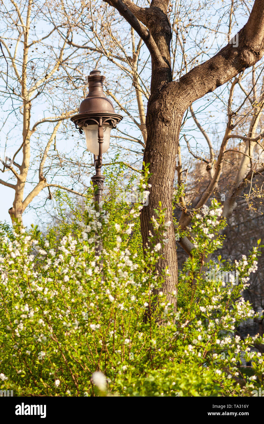 Lampadaire parisien entouré d'arbres et de fleurs Banque D'Images