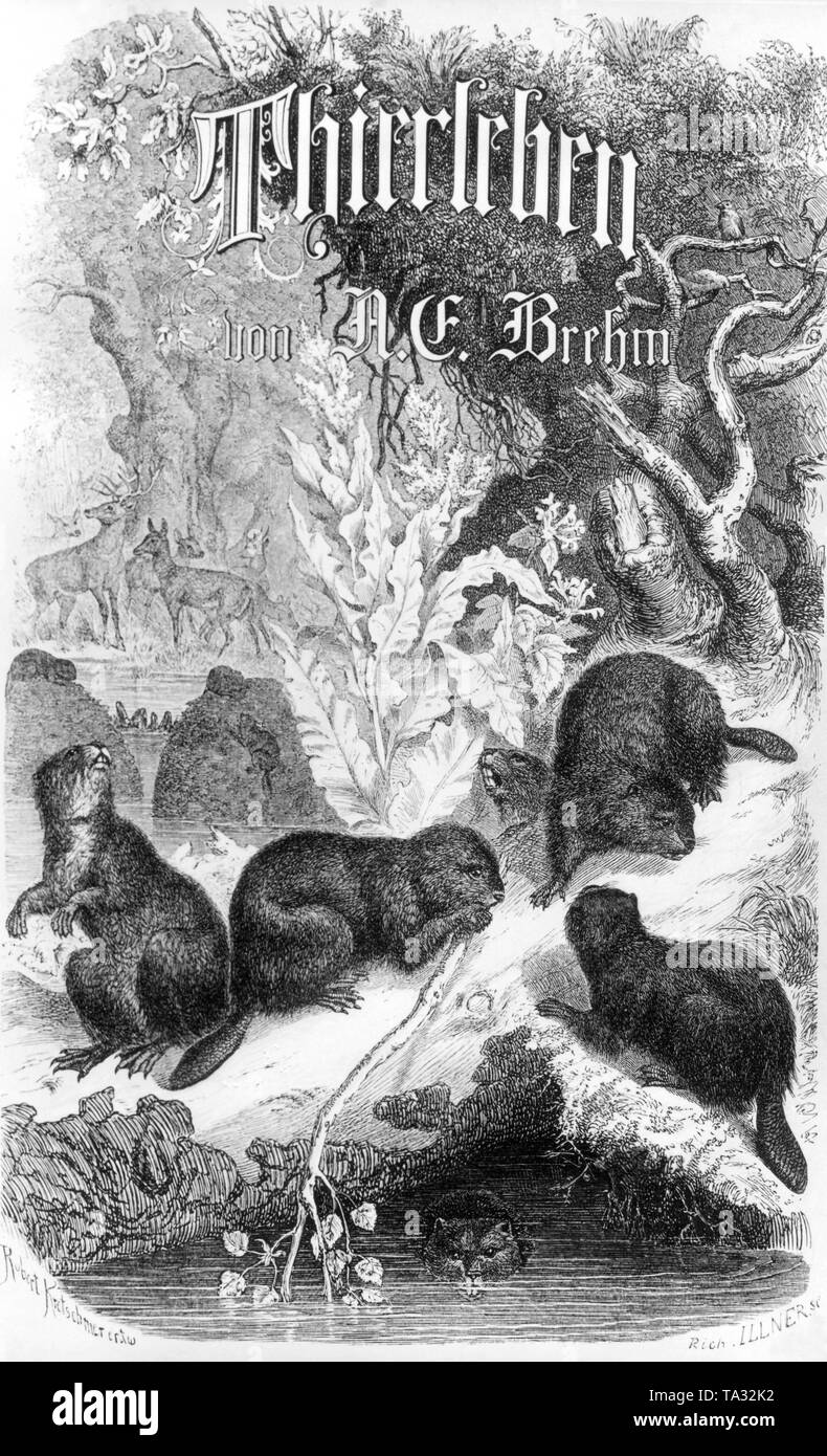 Couverture de la vie des animaux illustrée par Alfred Brehm zoologiste allemand Banque D'Images