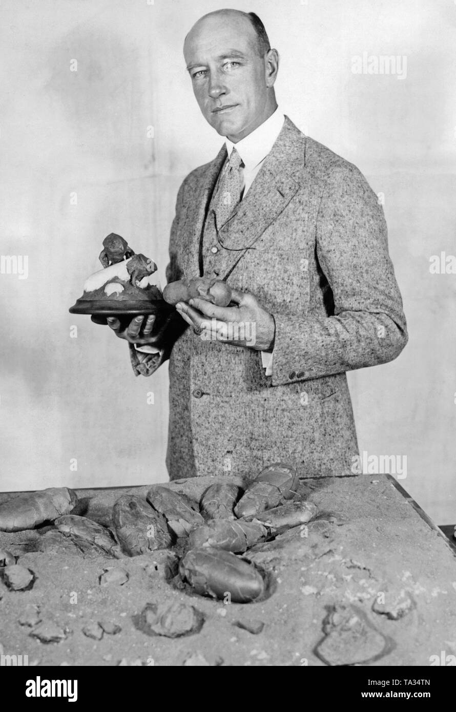 Cette photo montre le paléontologue Roy Chapman Andrews avec œufs de dinosaure, qu'il a de son expédition en Mongolie en 1925. En outre, il a également trouvé des squelettes de dinosaures et crâne de dinosaure. Banque D'Images