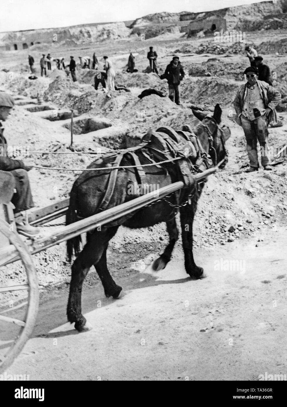 Photo d'une excavation de charniers de combattants tombés à Madrid pendant la guerre civile espagnole. Au premier plan, une charrette à âne. Banque D'Images
